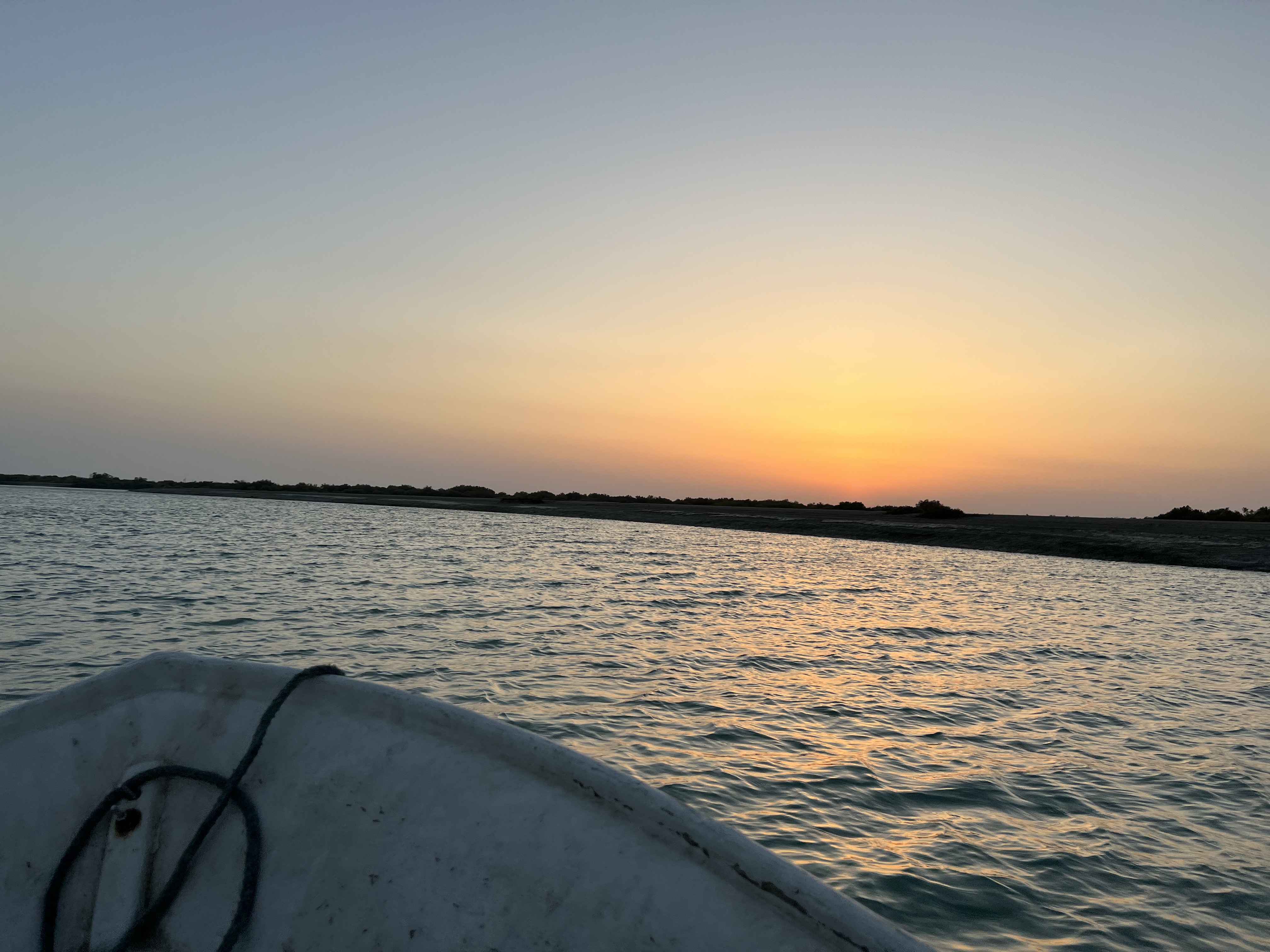 IMG_8812.jpeg