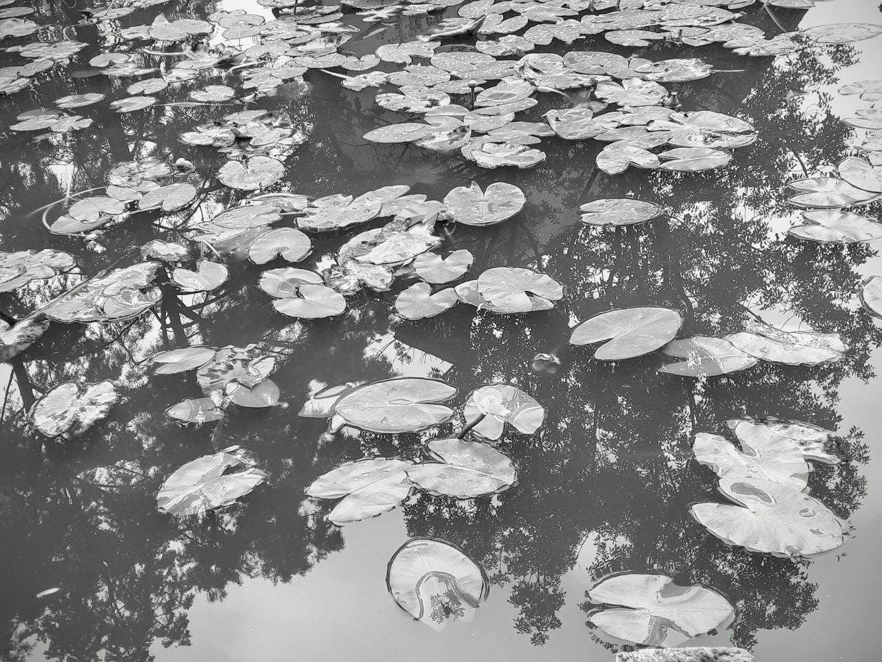 20250717_180446.jpg