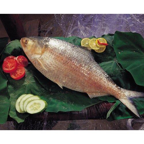 hilsa-bangladesh-bongquotes.jpg