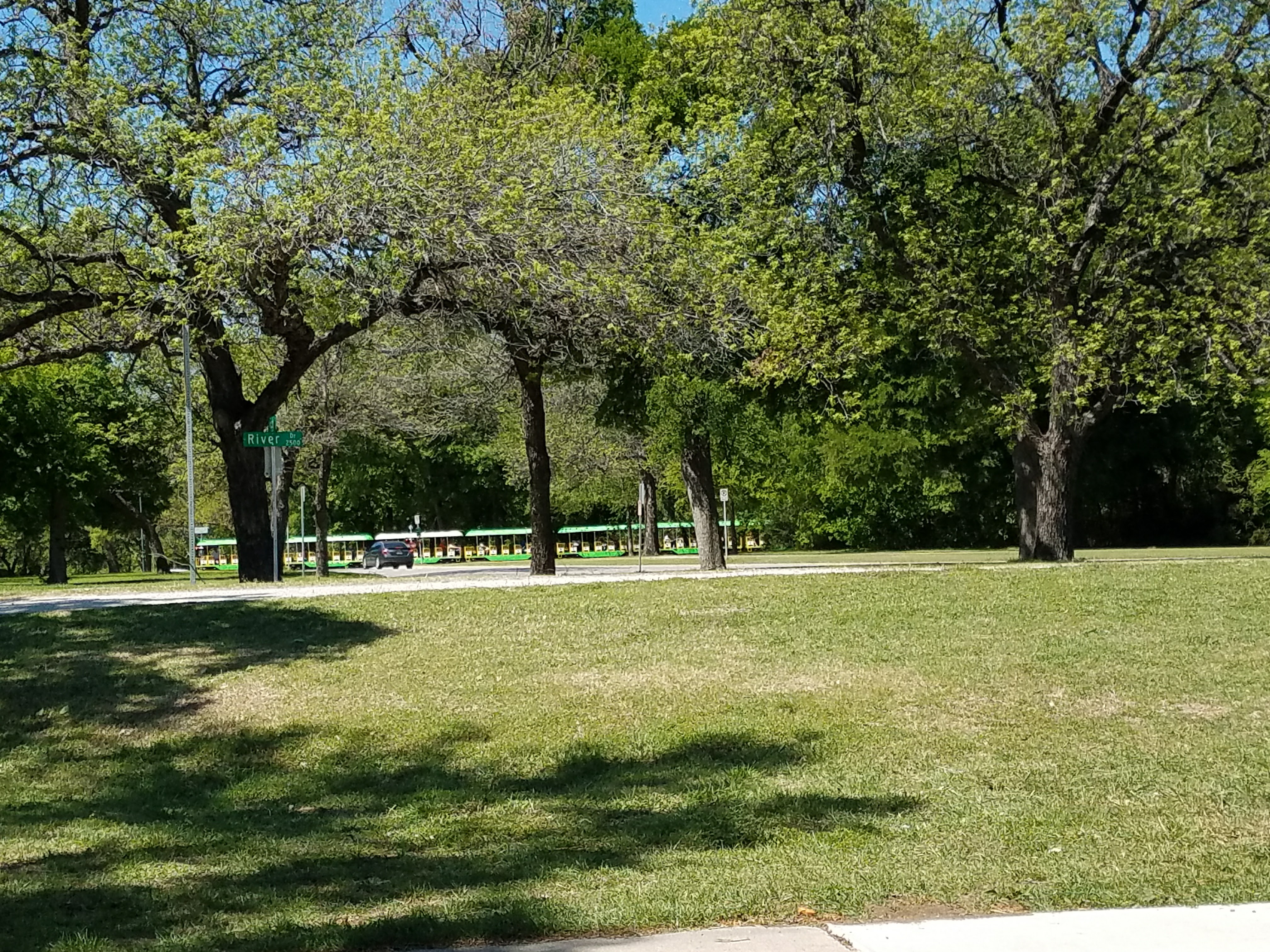 greenary.jpg