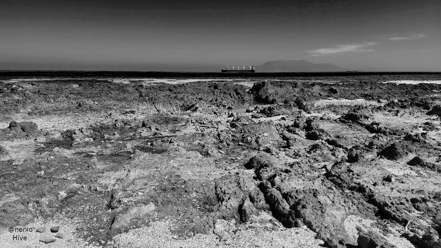 rocky-shore-001-bw.jpg