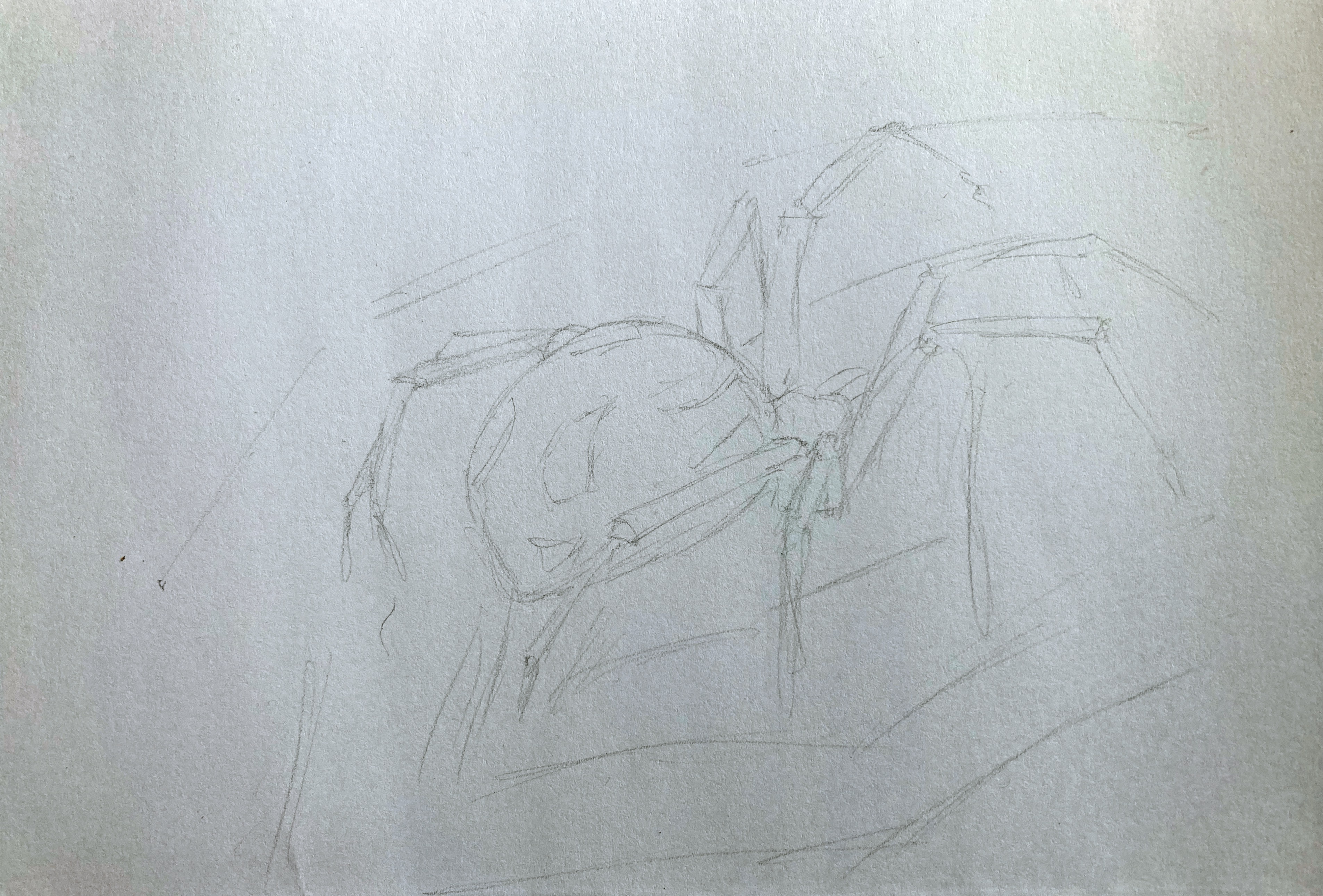 IMG_1103.jpeg