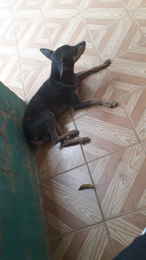IMG-20190304-WA0007.jpg