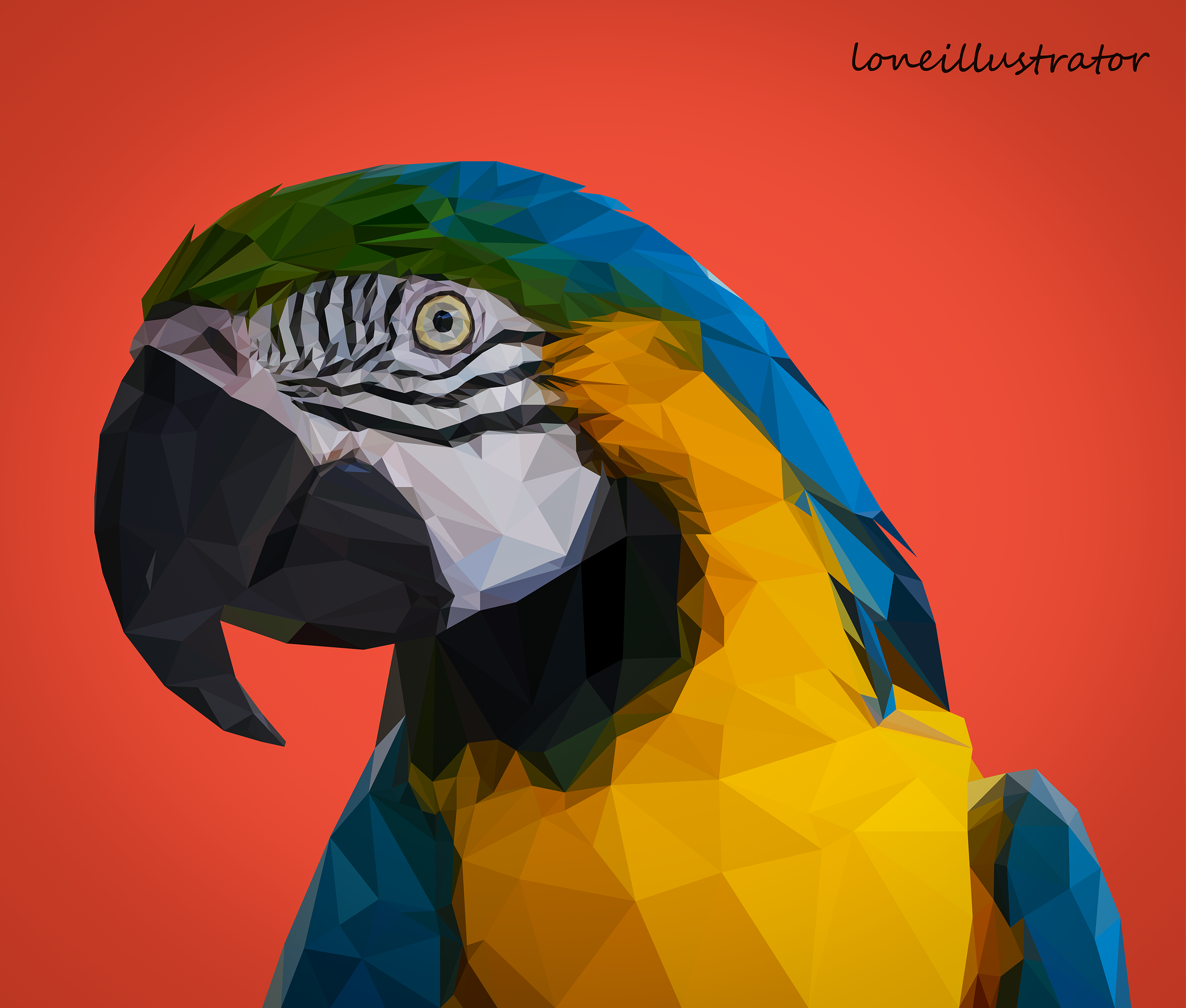 macaw-01resampled.png