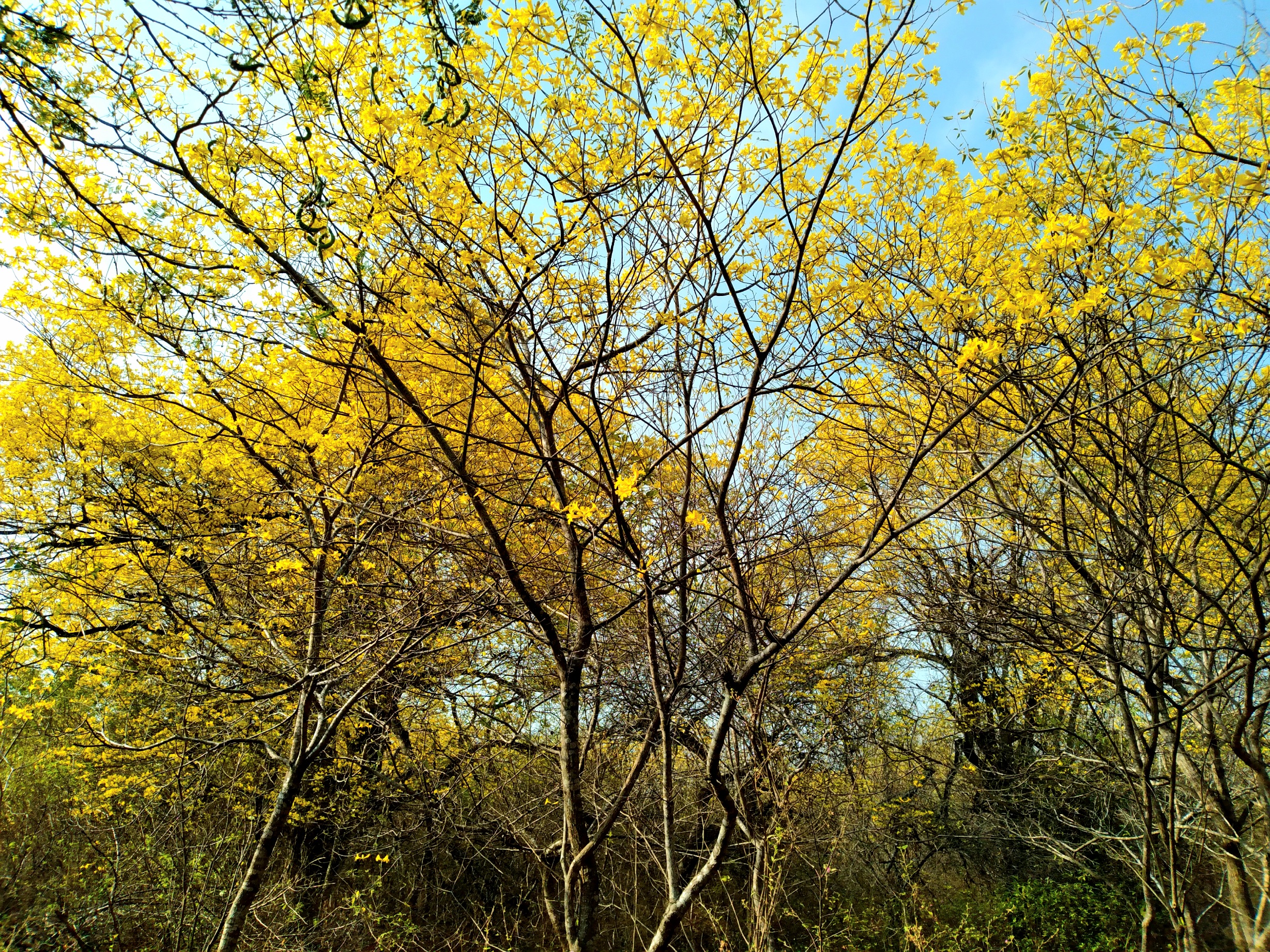 20250321_090344.jpg