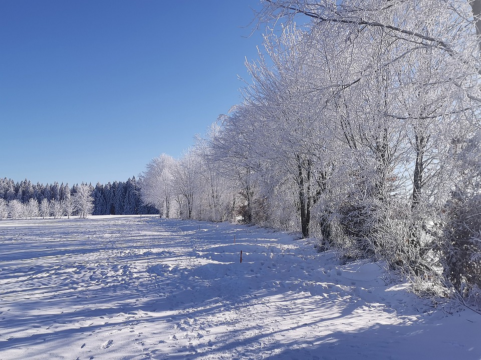 winter-landscape-6883852_960_720.jpg