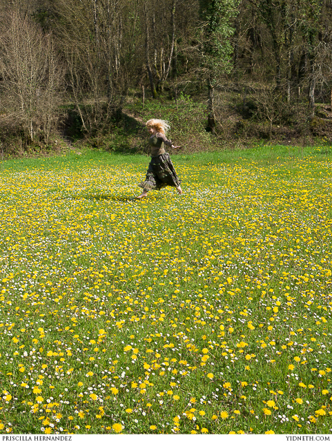 dandelions - by priscilla Hernandez (yidneth.com)-5.jpg