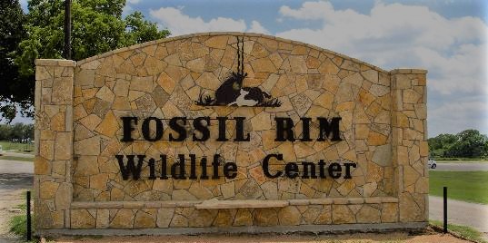 fossil-rim-wildlife-center.jpg