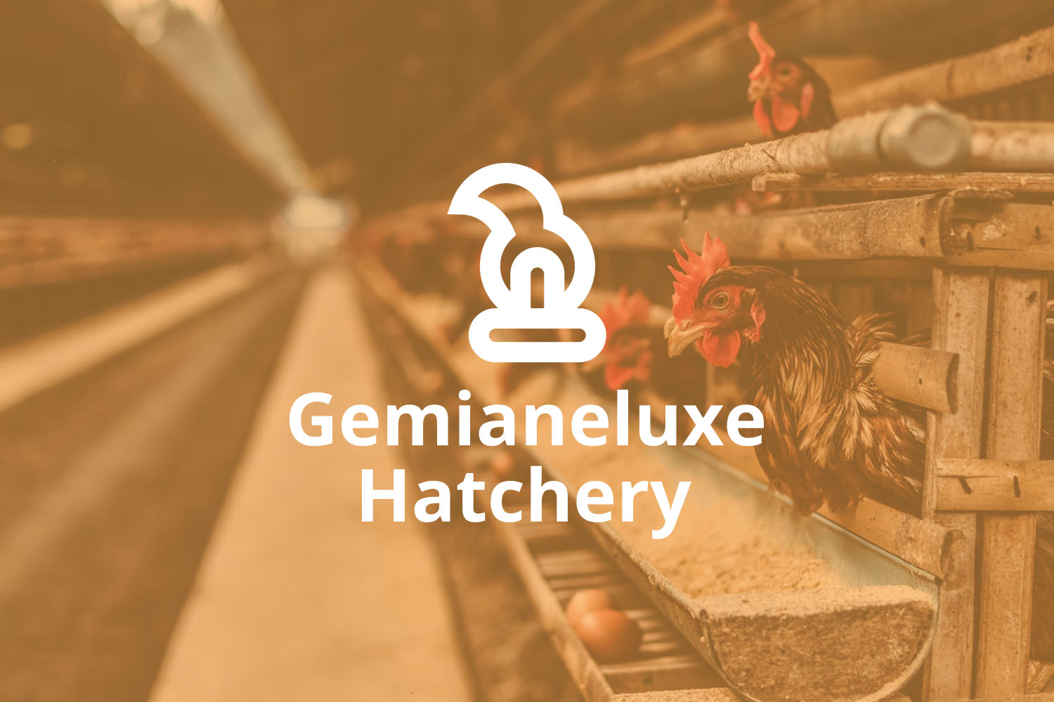 Gemianeluxe Hatchery_Thumbnail.jpg