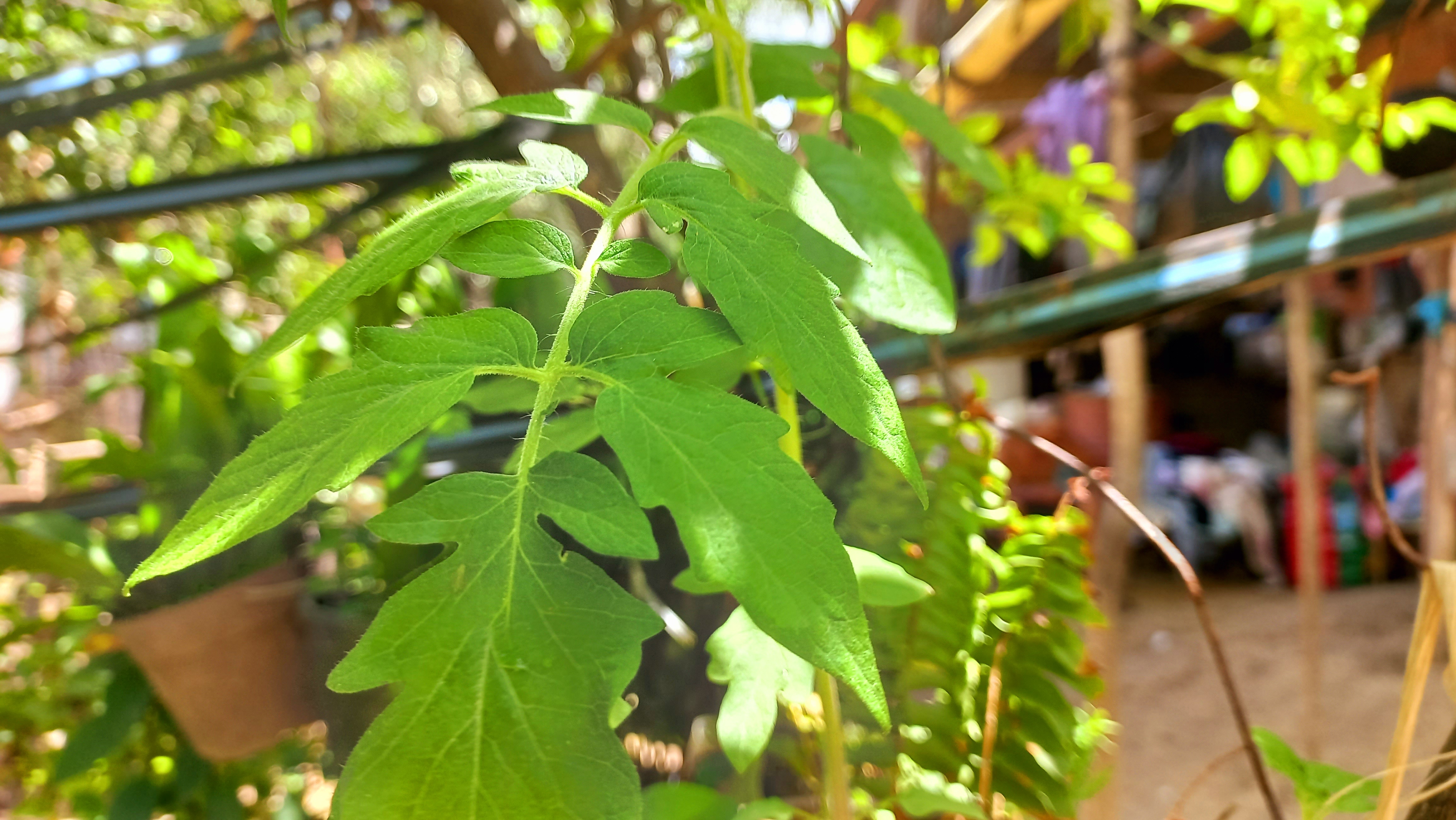 20250524_115350.jpg