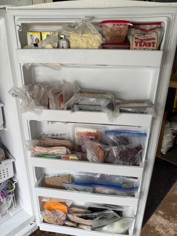 freezer-3.jpg
