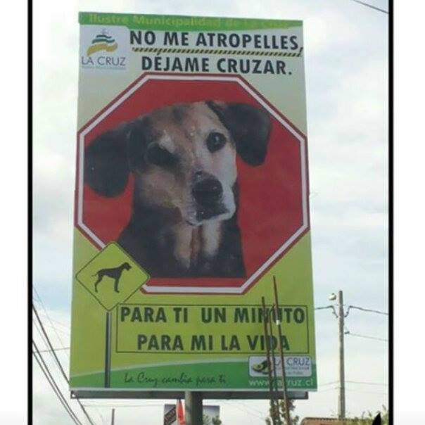 Aviso para todos.jpg