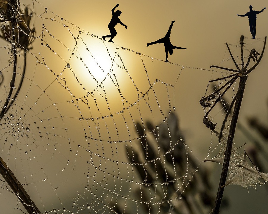 tightrope on spiders web pixa.jpg