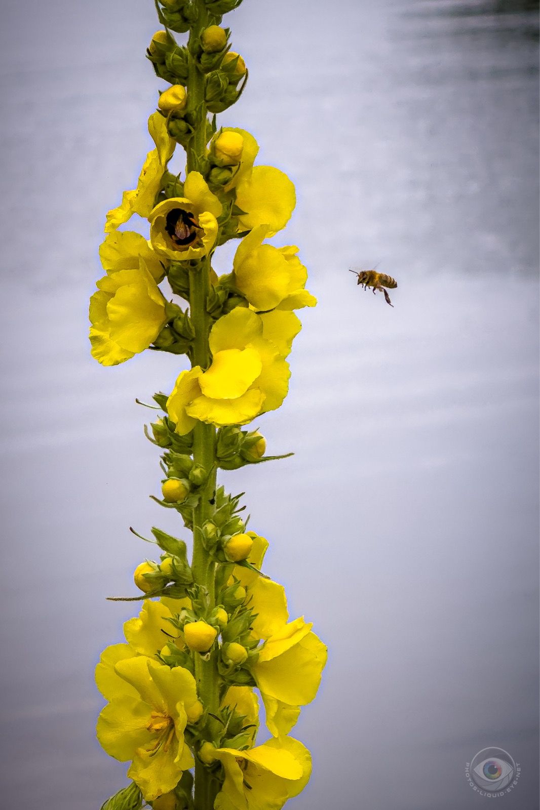 footer_image_15630058073.png