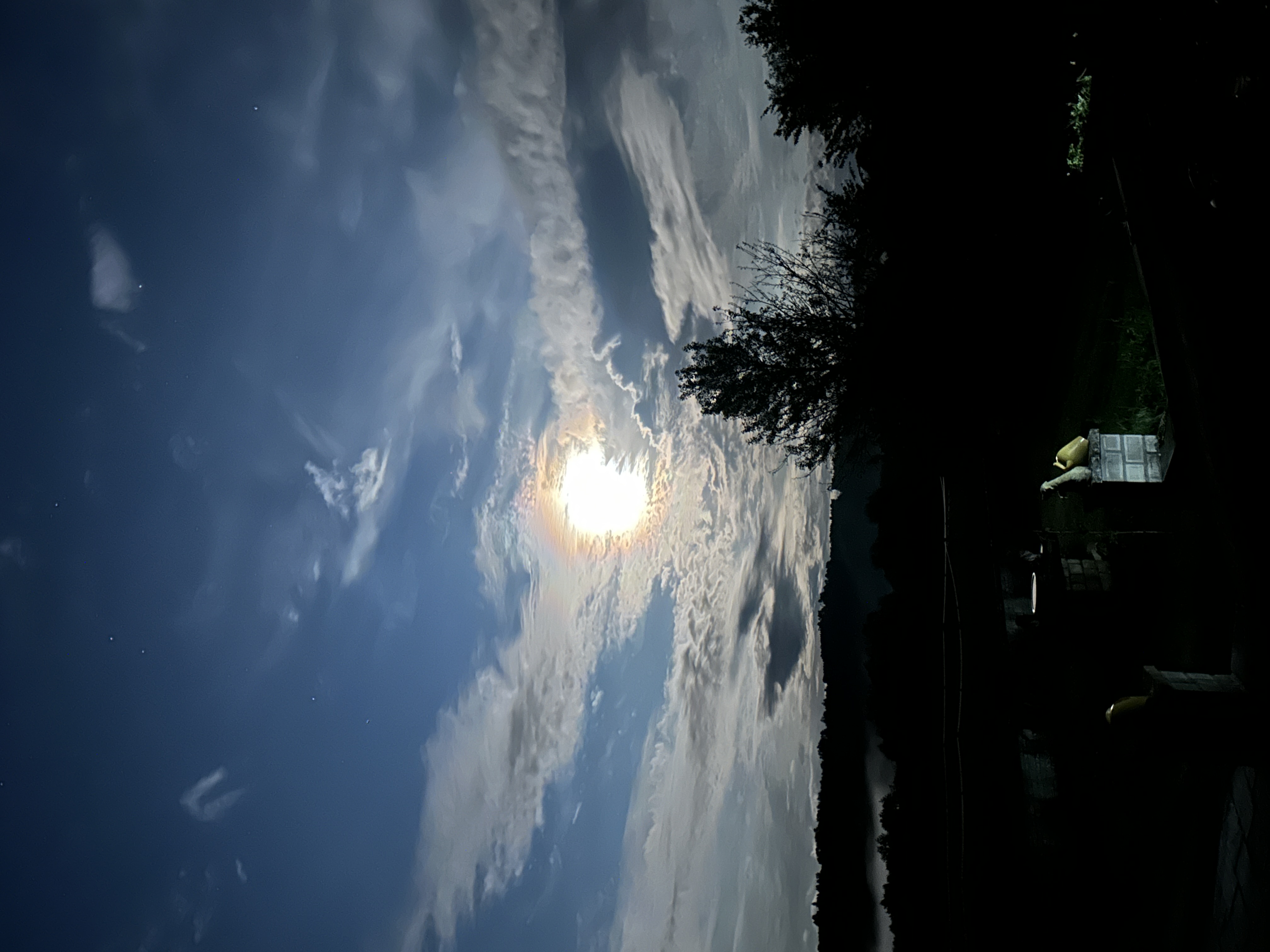 IMG_2665.jpeg