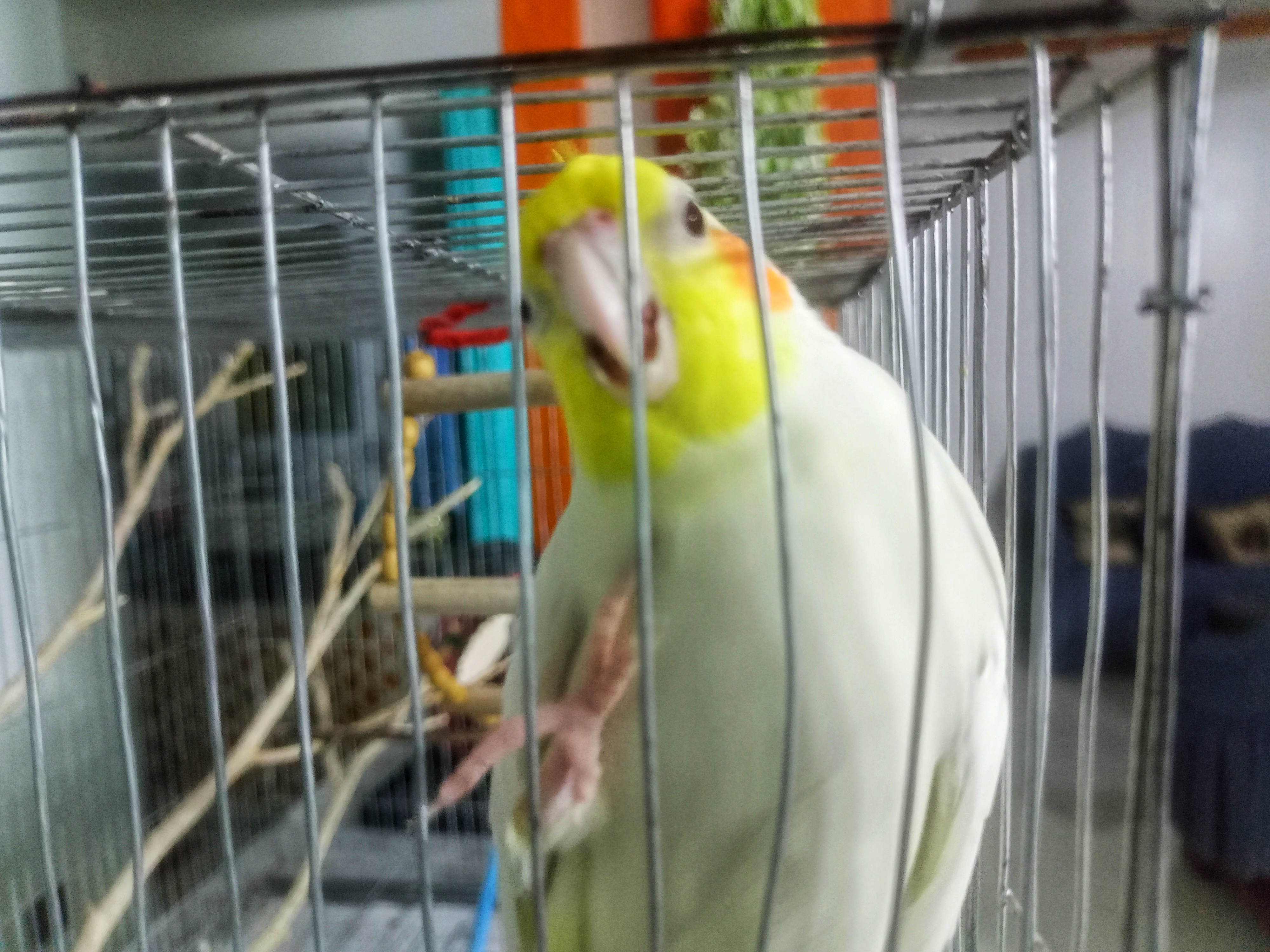 IMG20250606192224.jpg