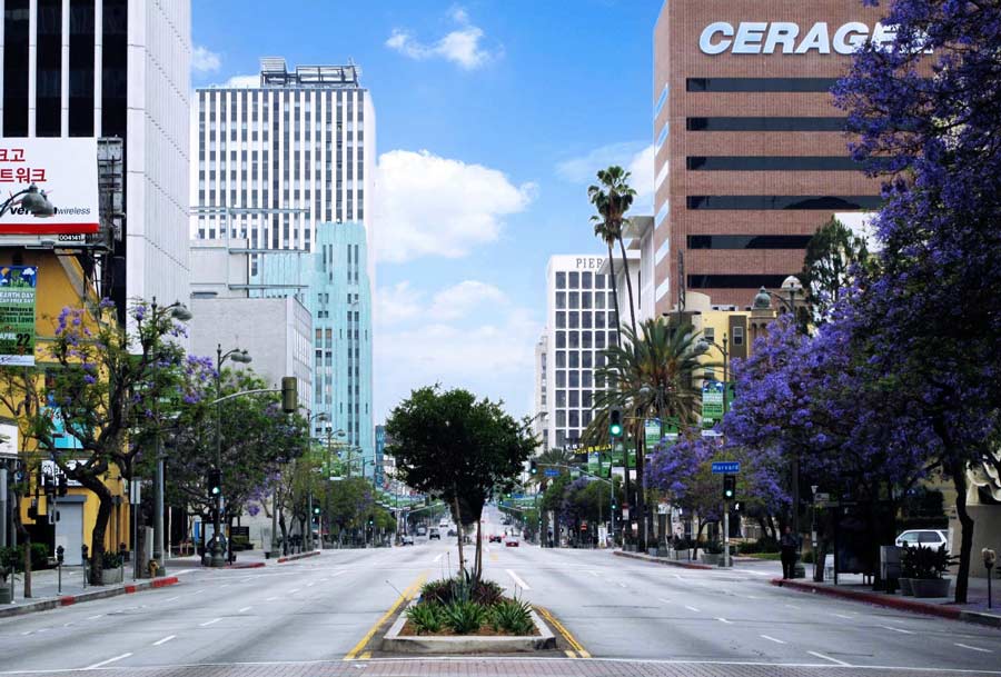 Wilshire_Boulevard_holiday_morning.jpg