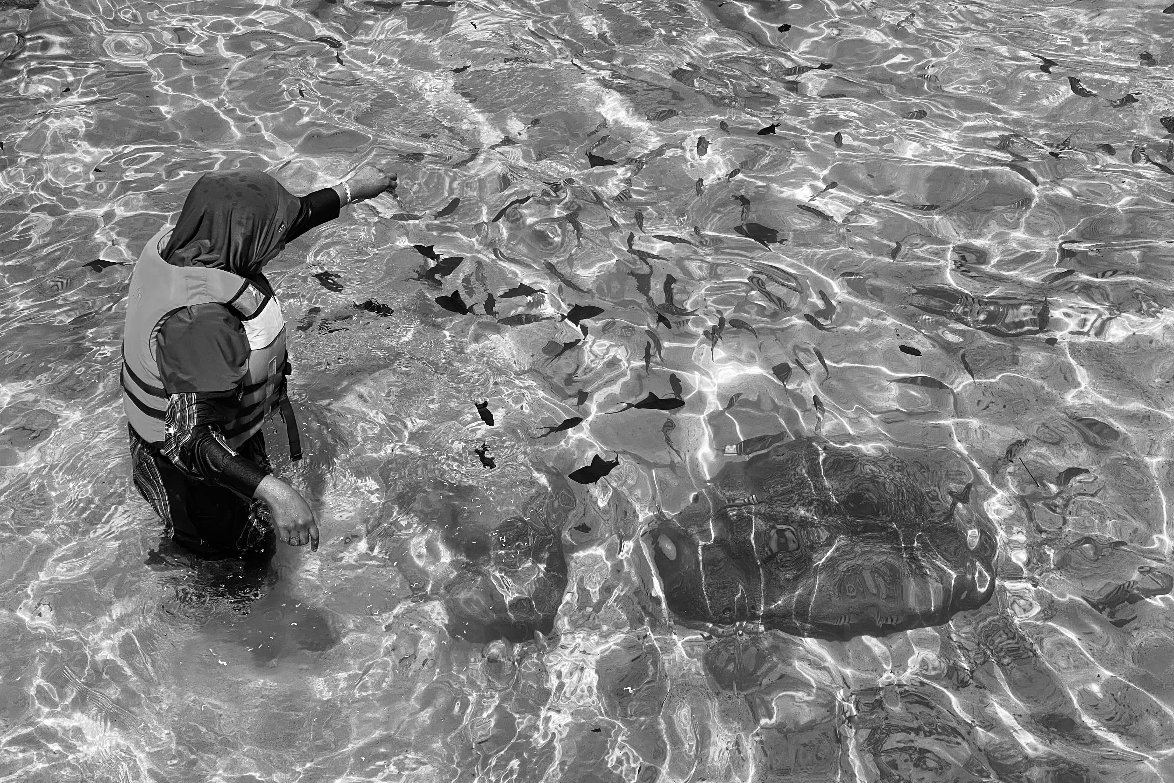 image00004-41-min.jpeg