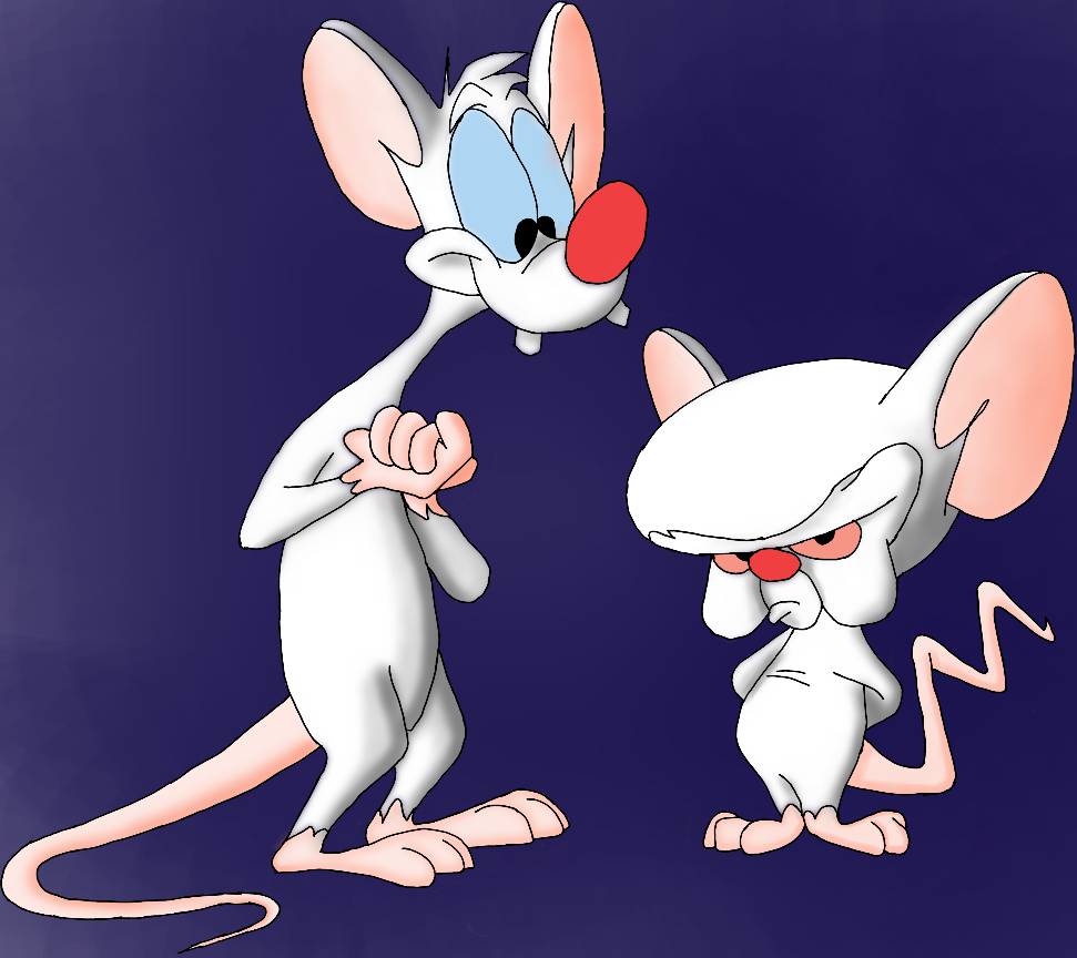 pinky and the brain6.png
