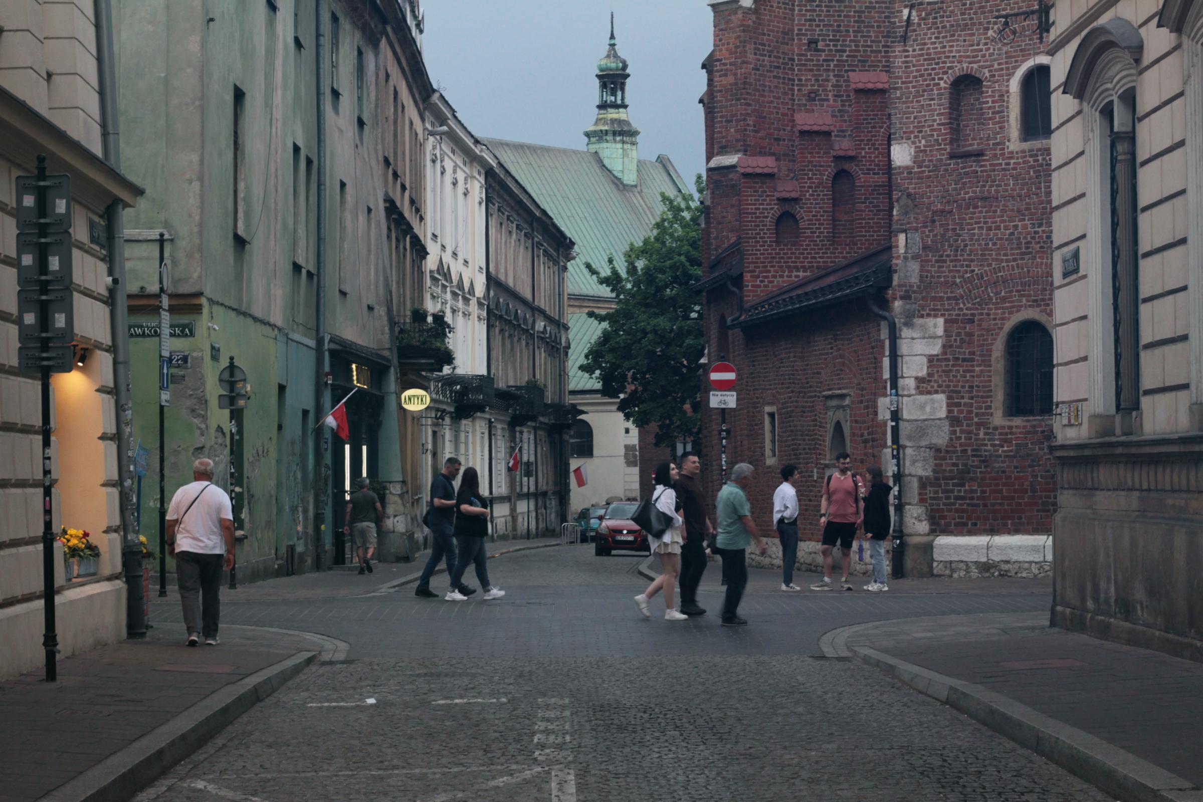 IMG_7083-crop.JPG