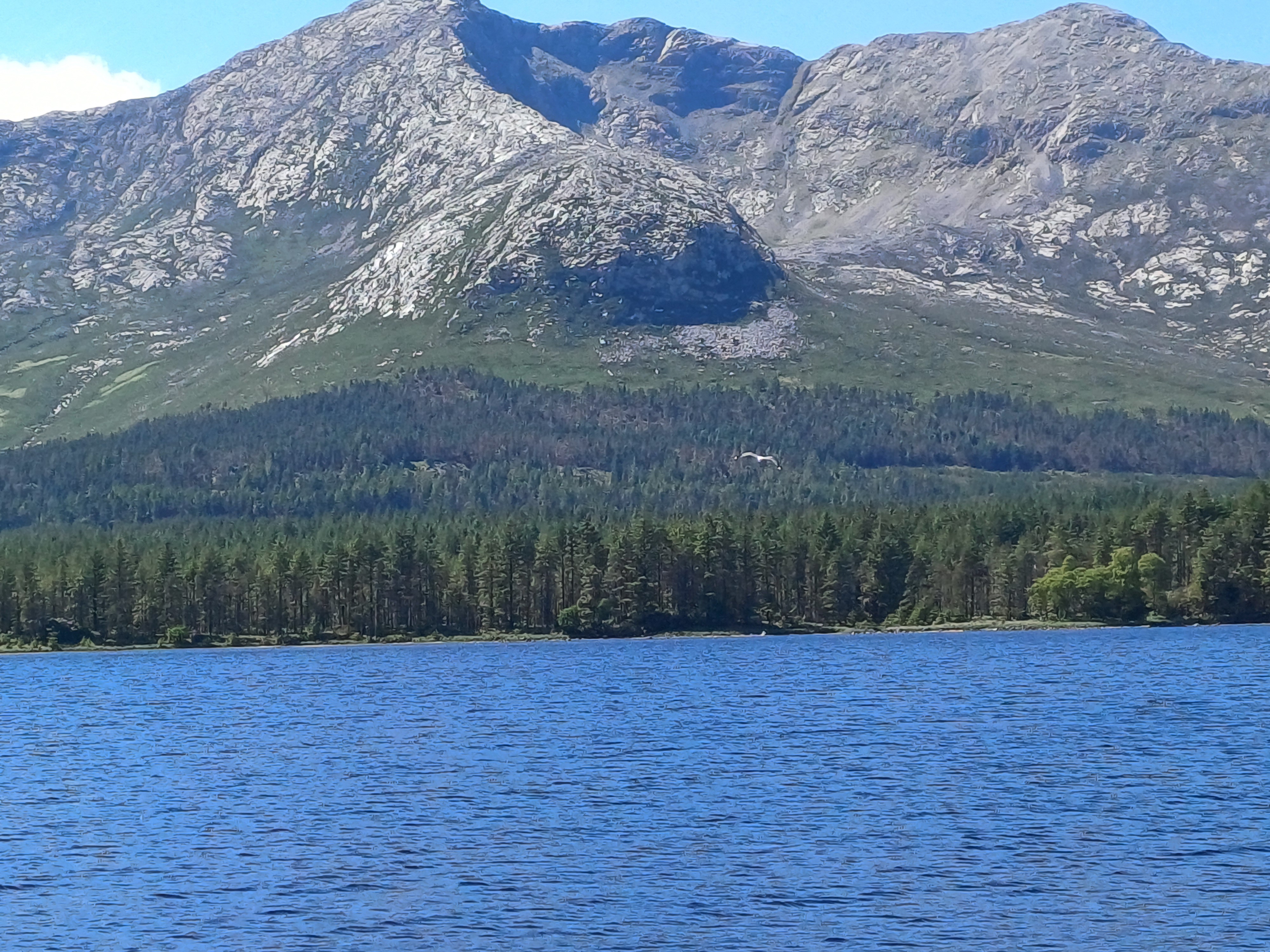 20250518_144216.jpg