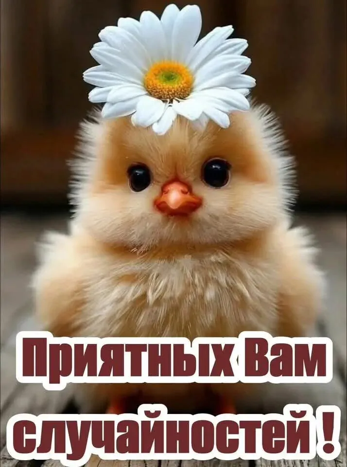 i (2).webp