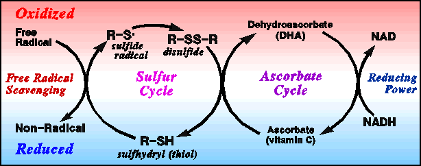 j35-rssr.gif