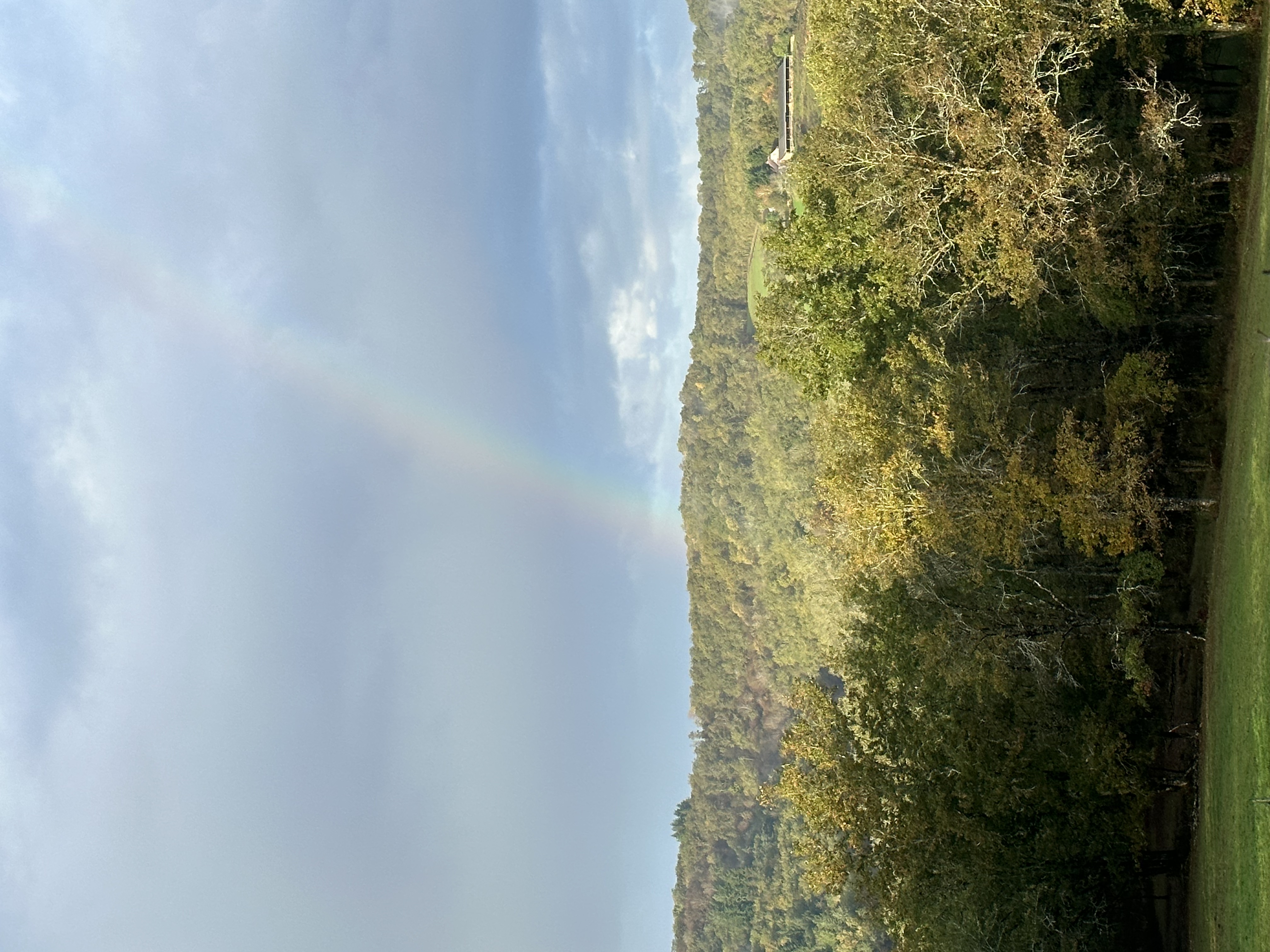 IMG_1161.jpeg