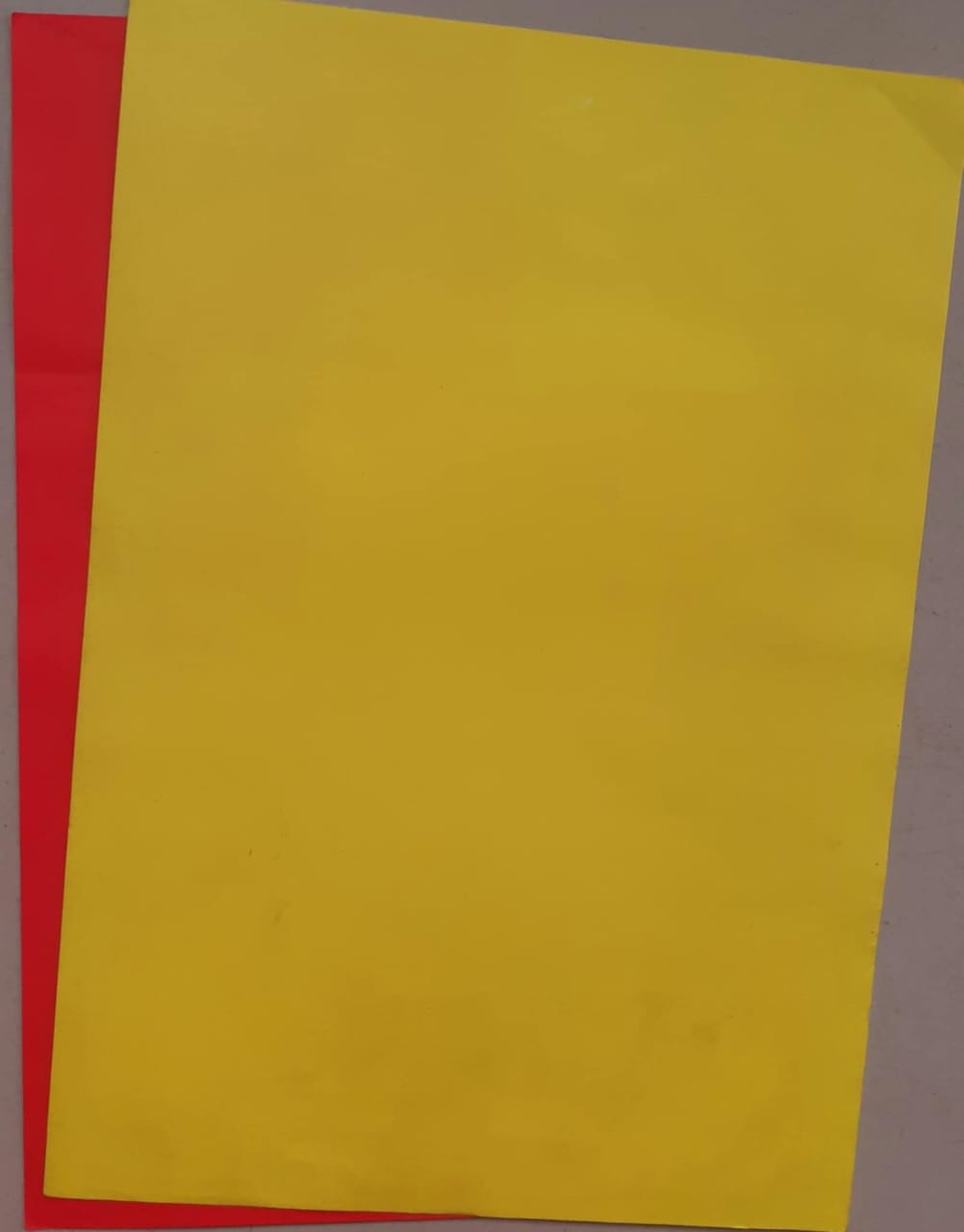 1000073543.jpg