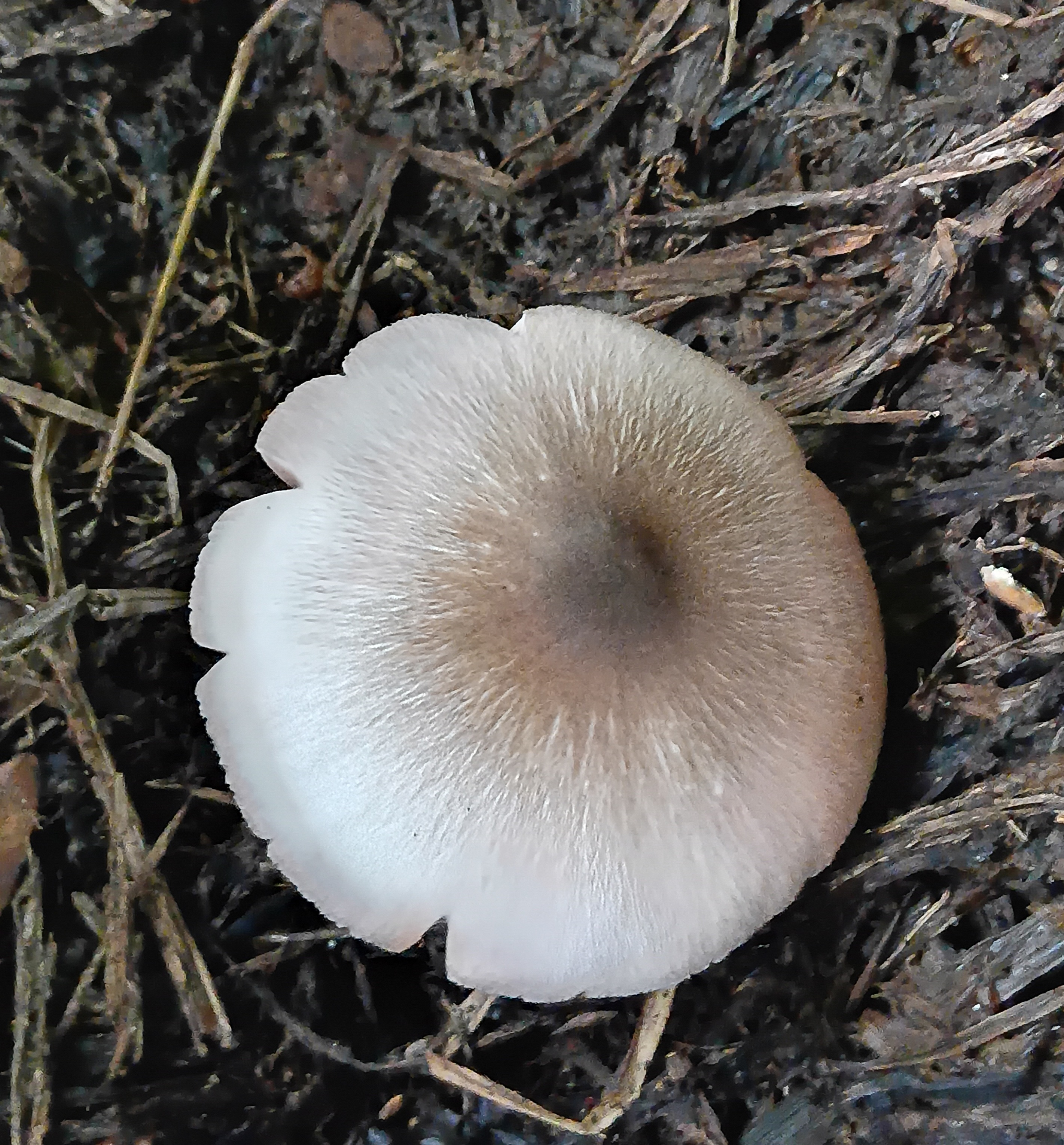 20250803_061141.jpg