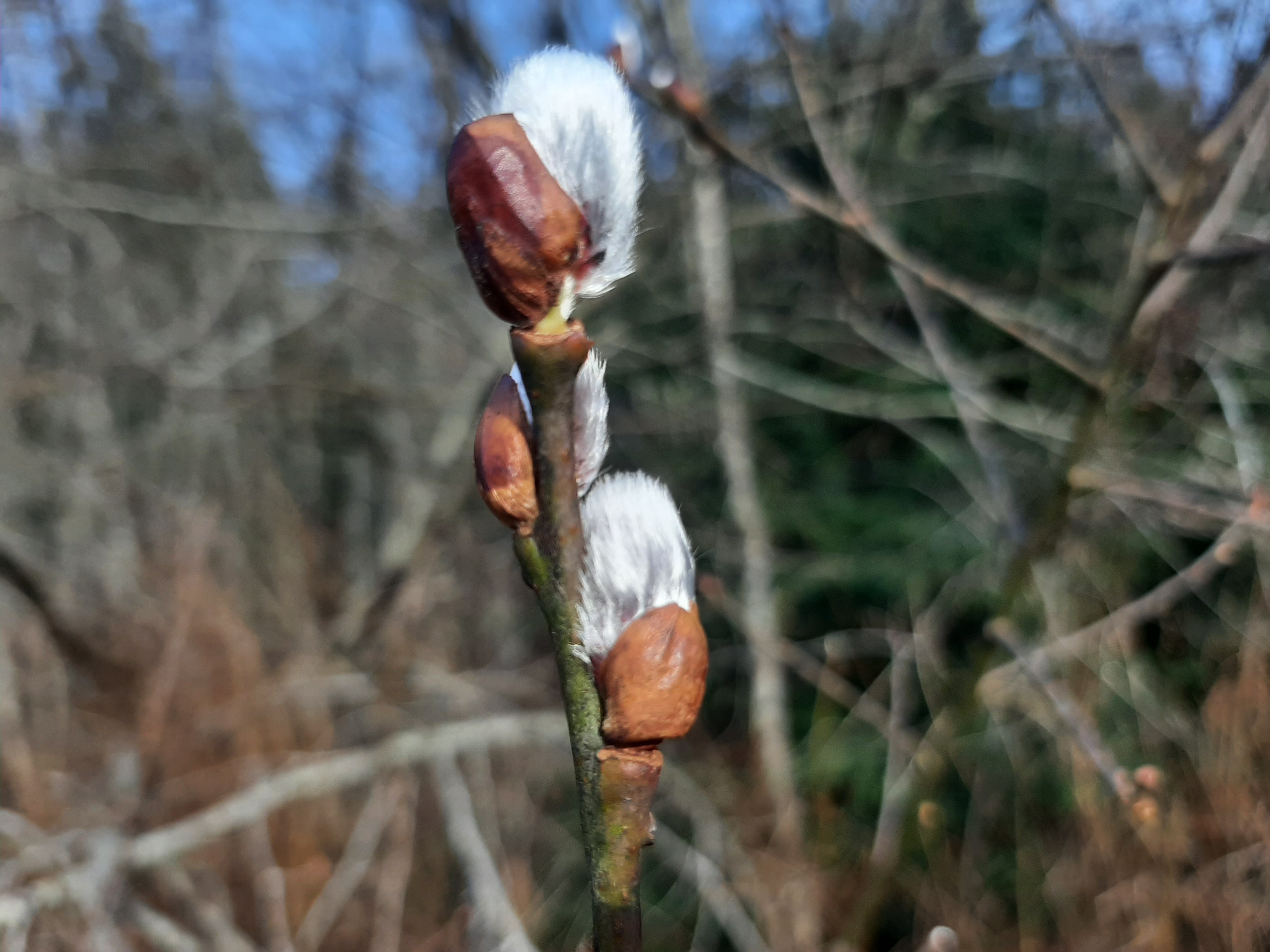 20220128_152736.jpg