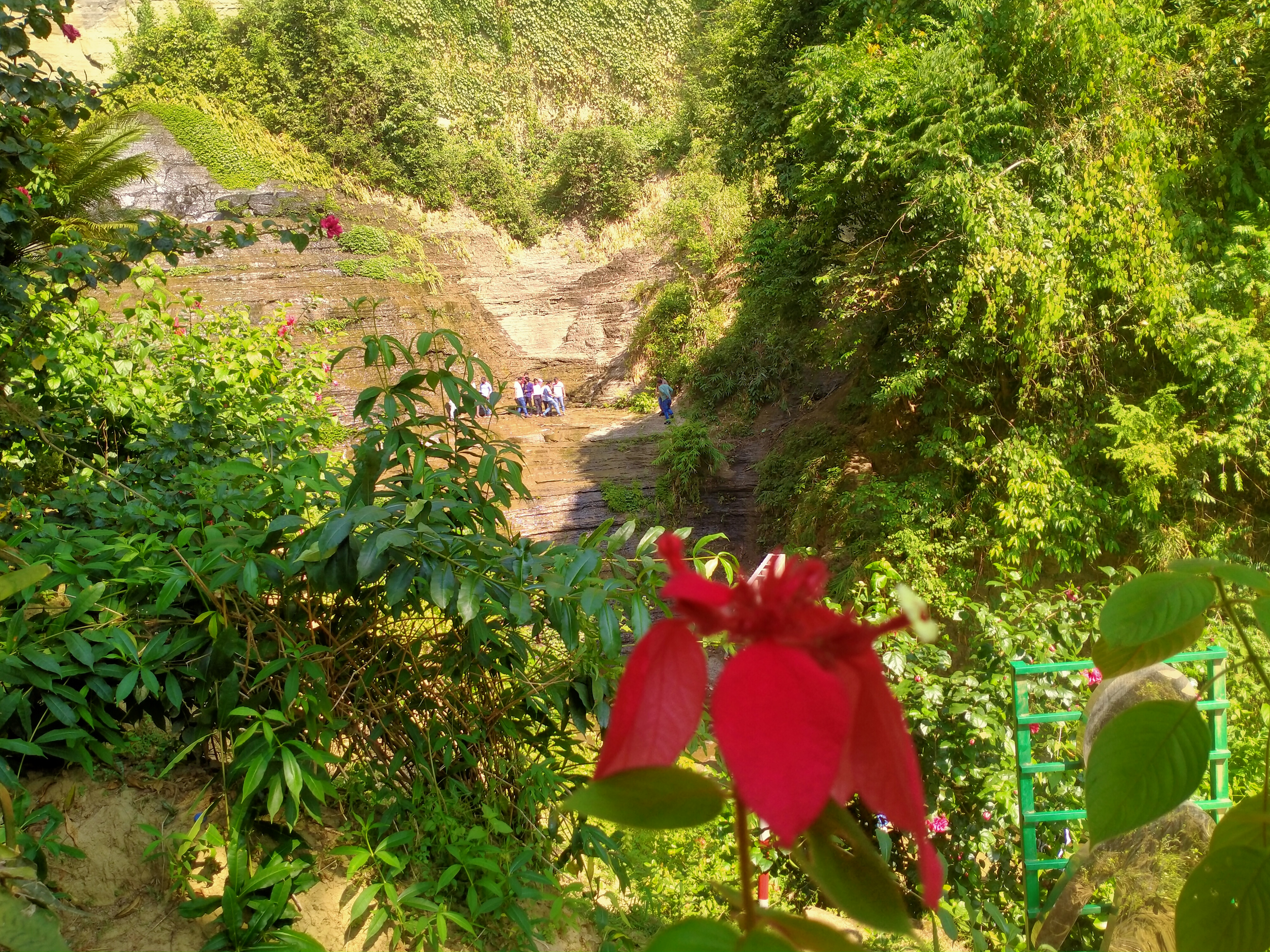 IMG20241122114855.jpg