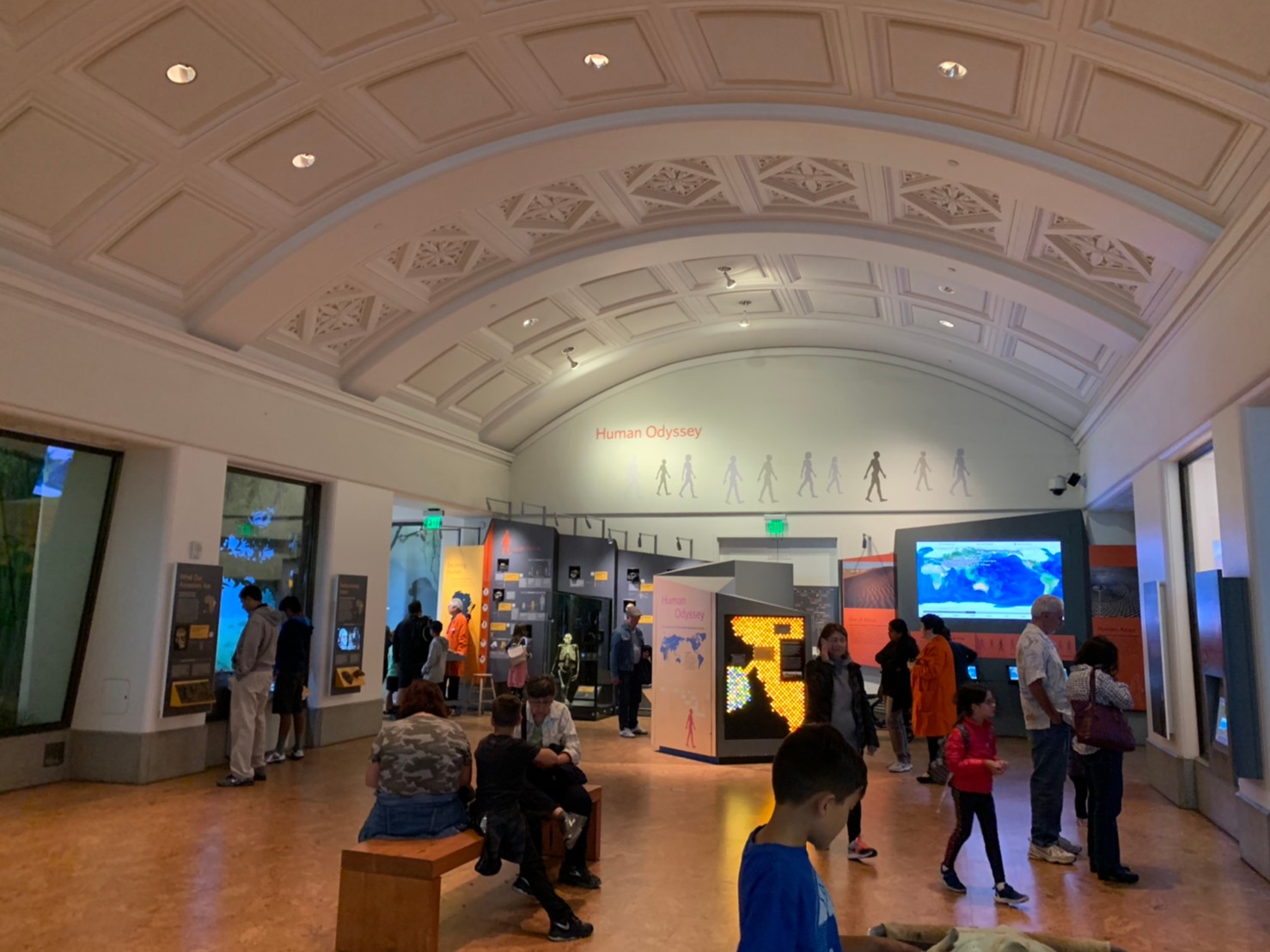 California Academy of Sciences36.jpg