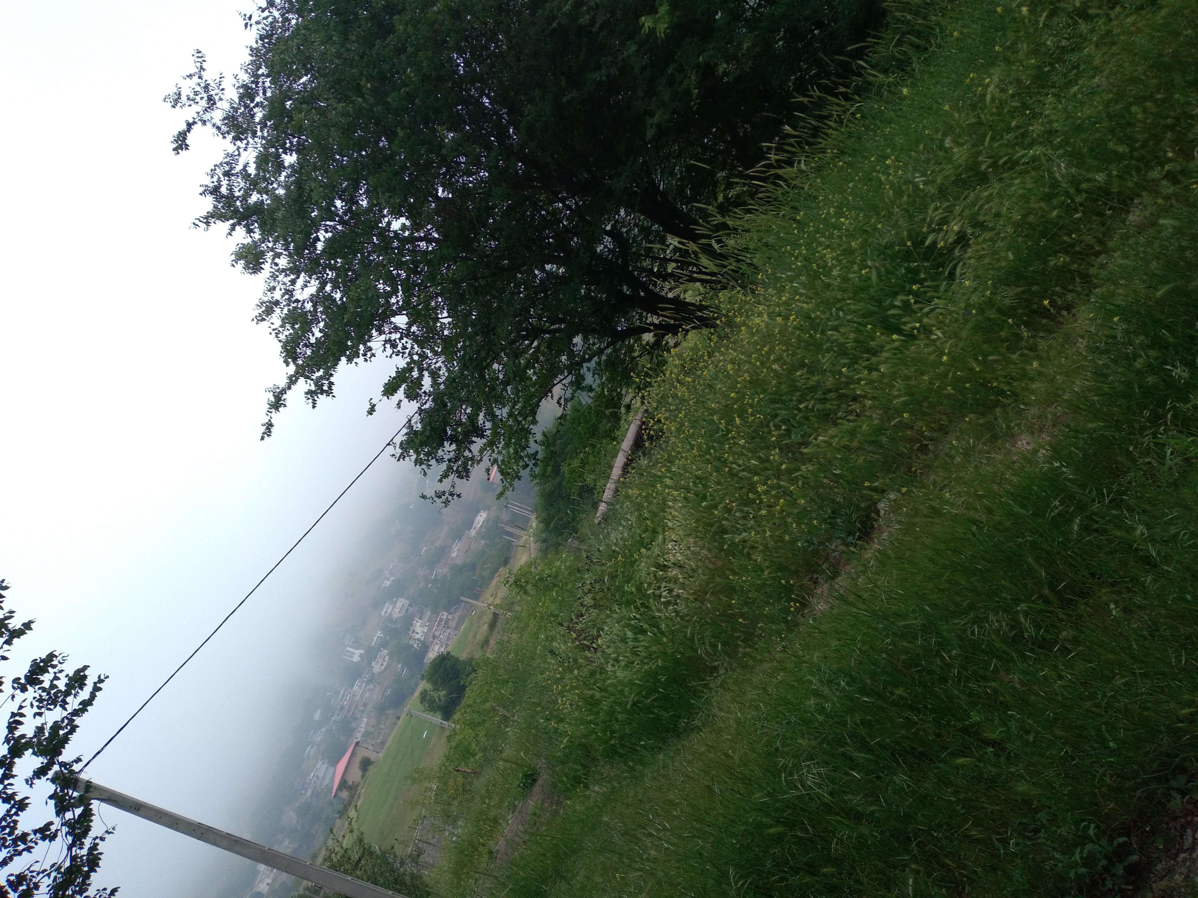 20230518_173850.jpg