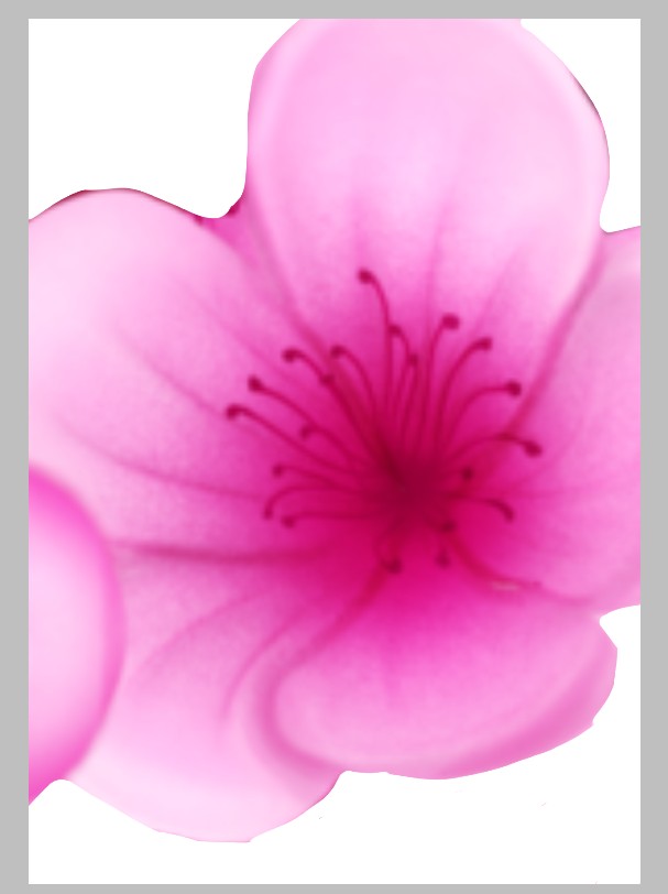 Screenshot_20250615-220149.jpg