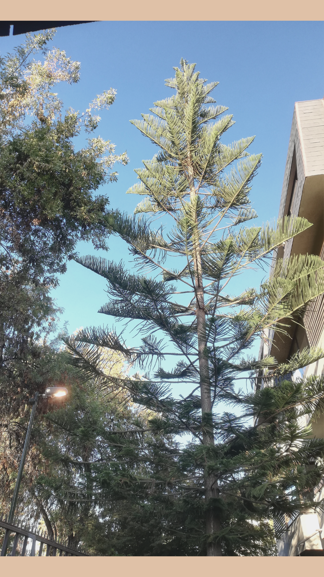 20210507_090607_0000.png