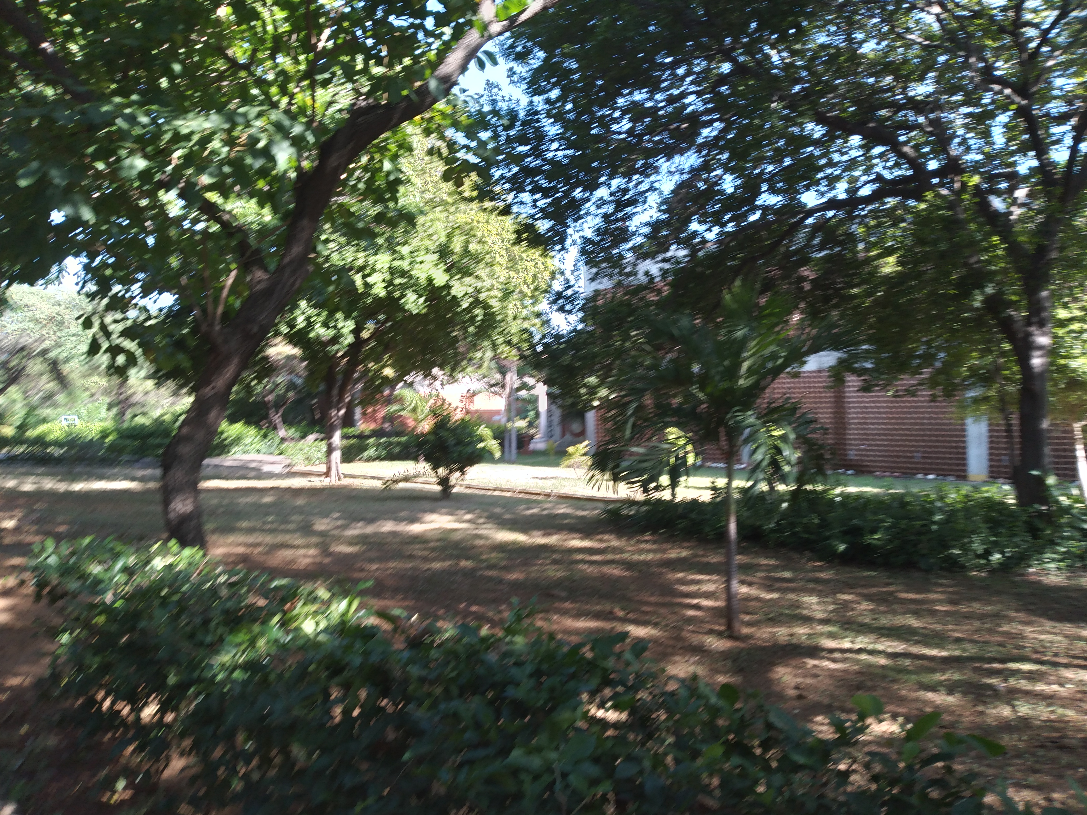 20250716_085544.jpg