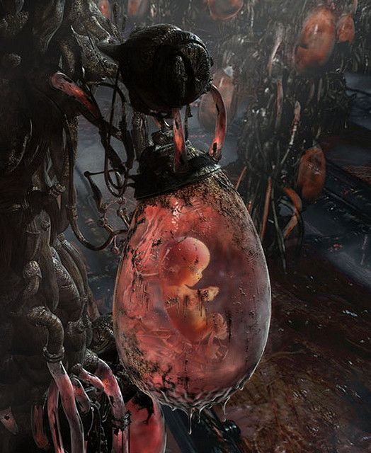 Matrix embryo.jpg