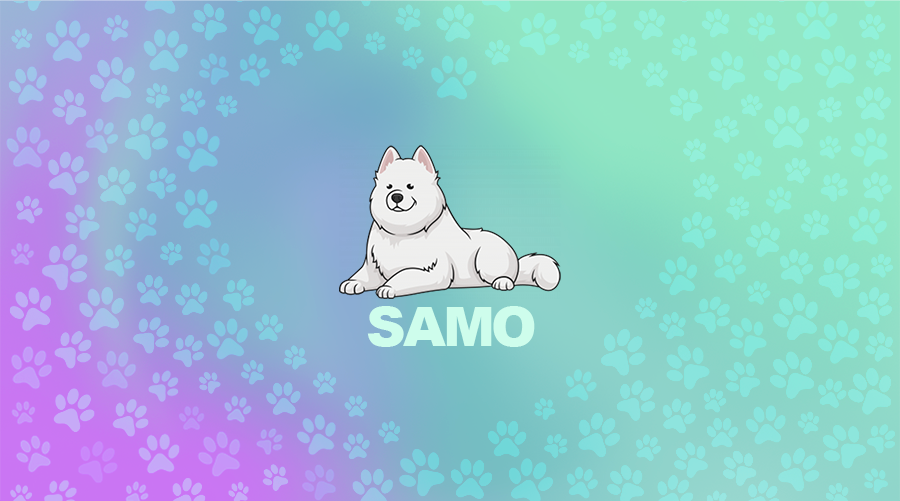  " "SAMOYED-AAX-SOLANA-SAMO.png""