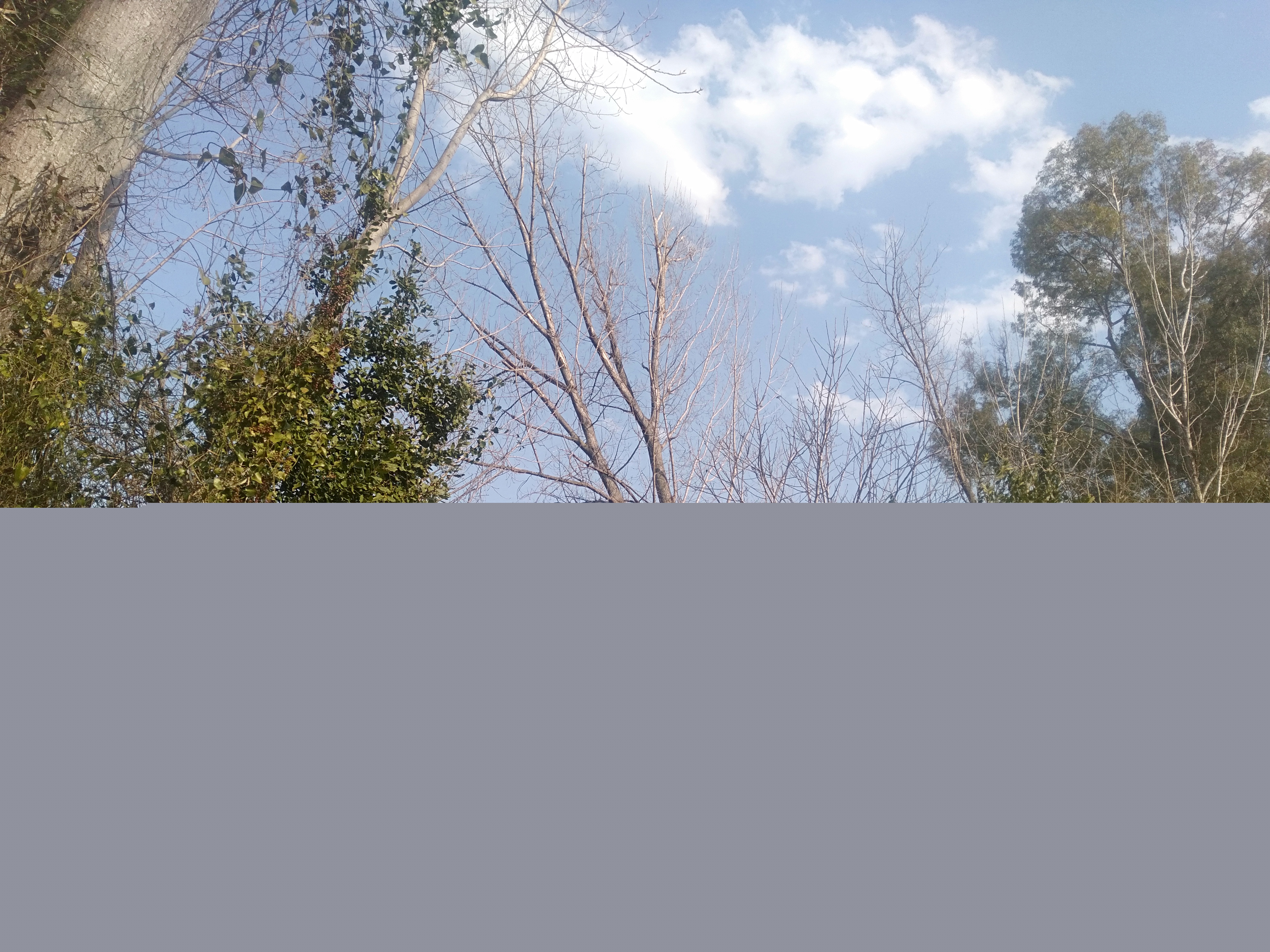 IMG20220326163556.jpg