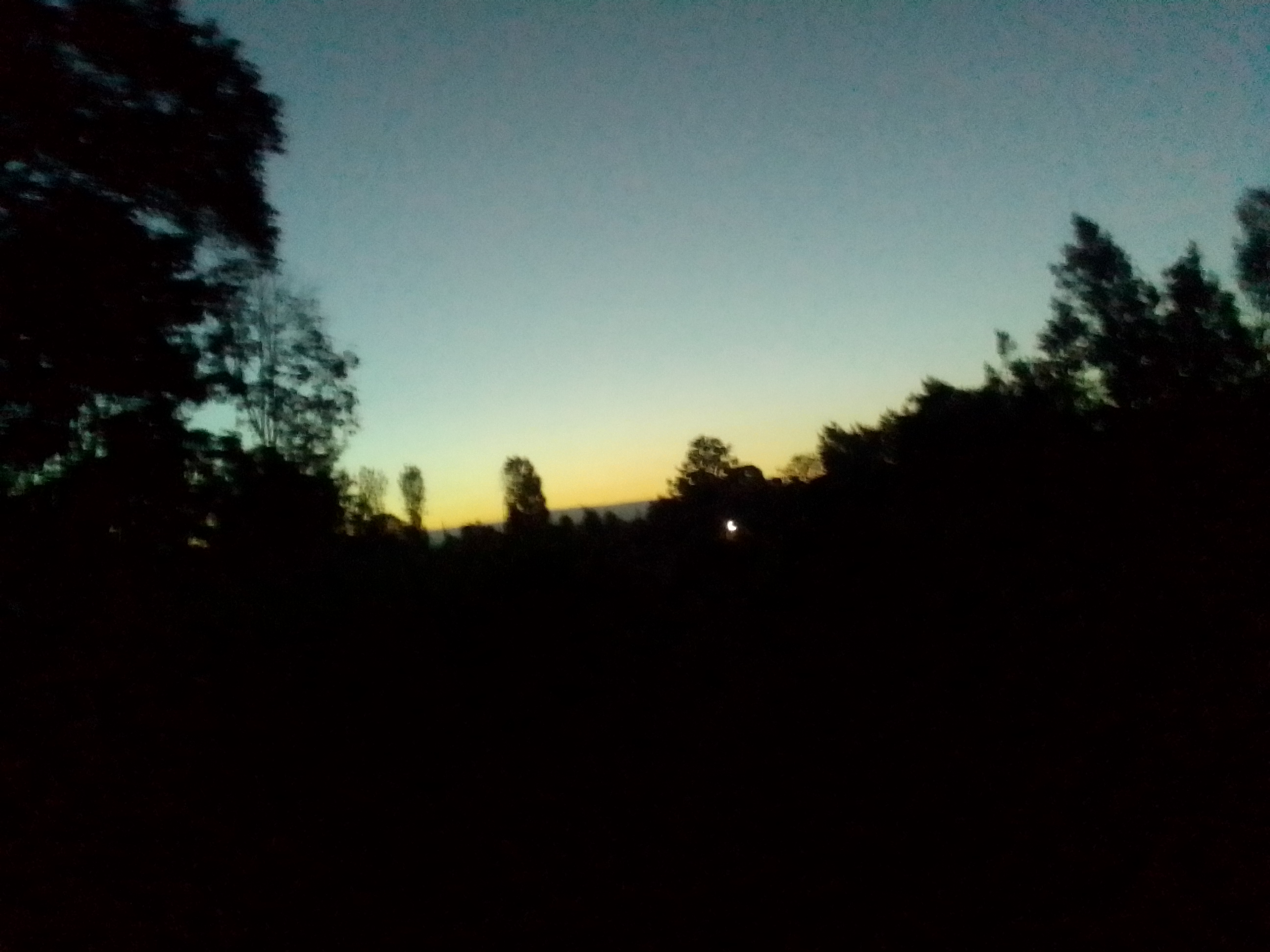 IMG_20220112_190557660.jpg