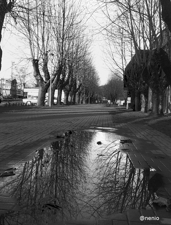 reflections-concepcion-02-bw.jpg