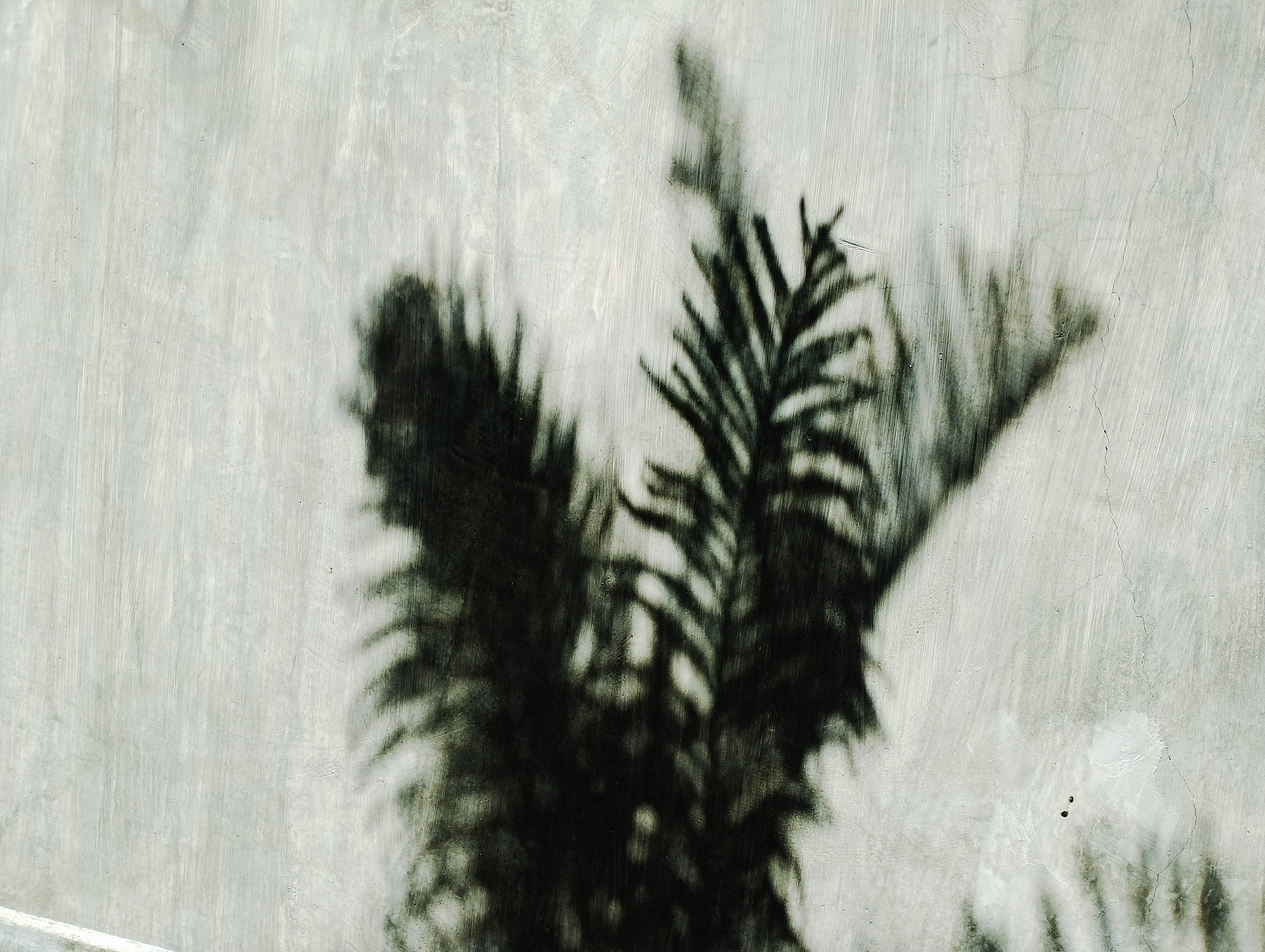 PSX_20231127_132140.jpg