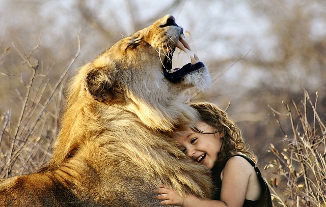 liong83ec4f3ec_640.jpg