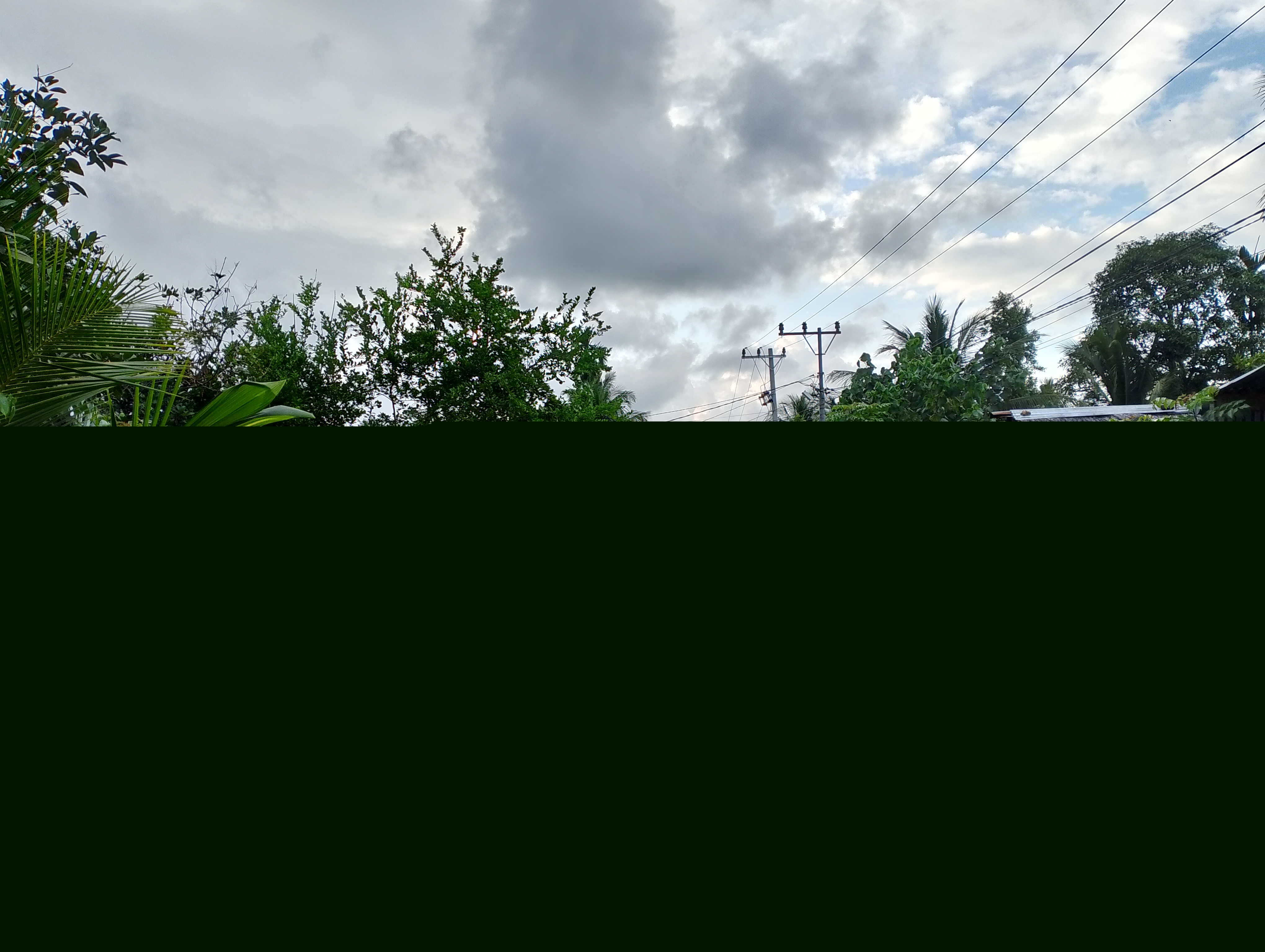IMG_20241002_172027.jpg