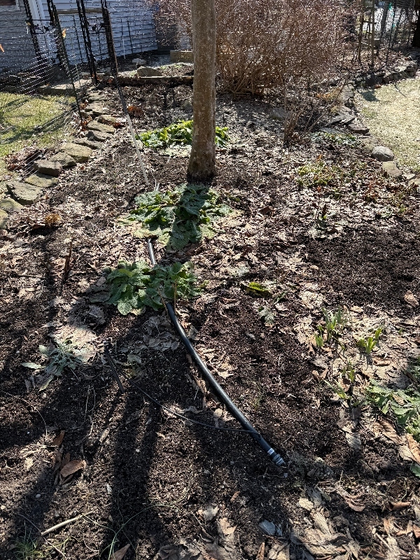 hivegarden-6.jpg