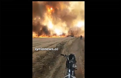 NATO terrorists burning Syrian wheat crops in Ras Al Ayn -Hasakah.jpg
