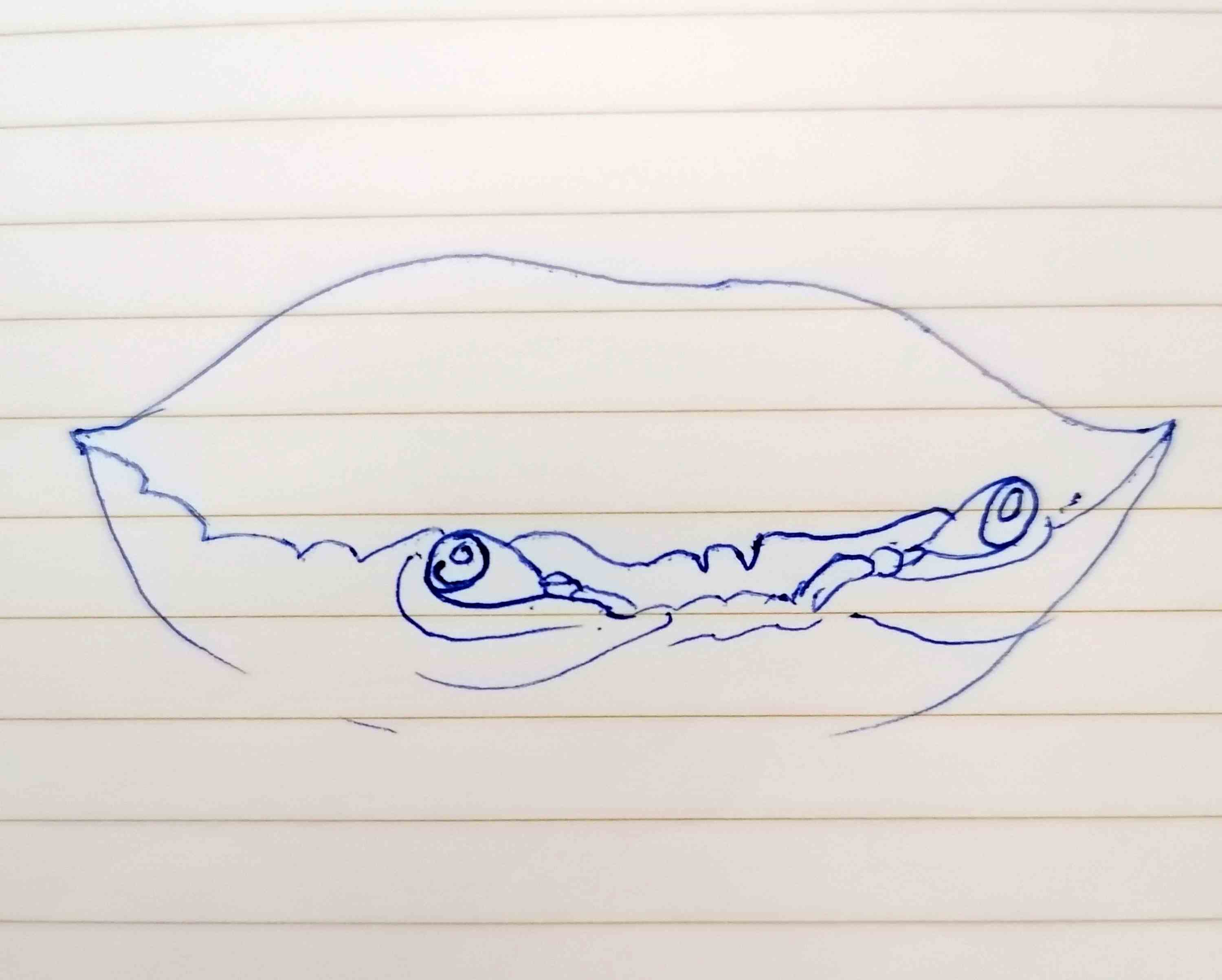 87631048626430322.jpg