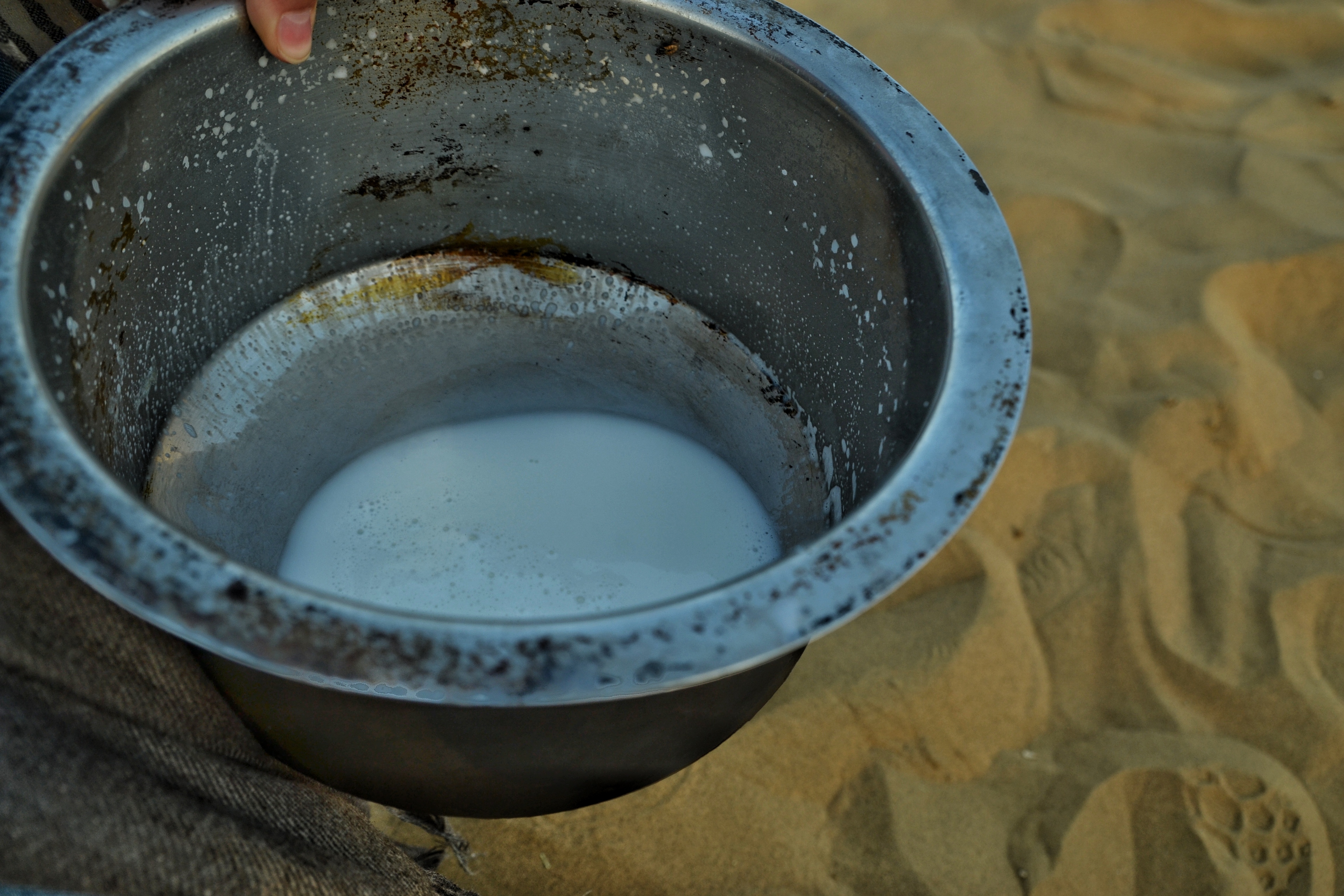 DSC_0253-01.jpeg