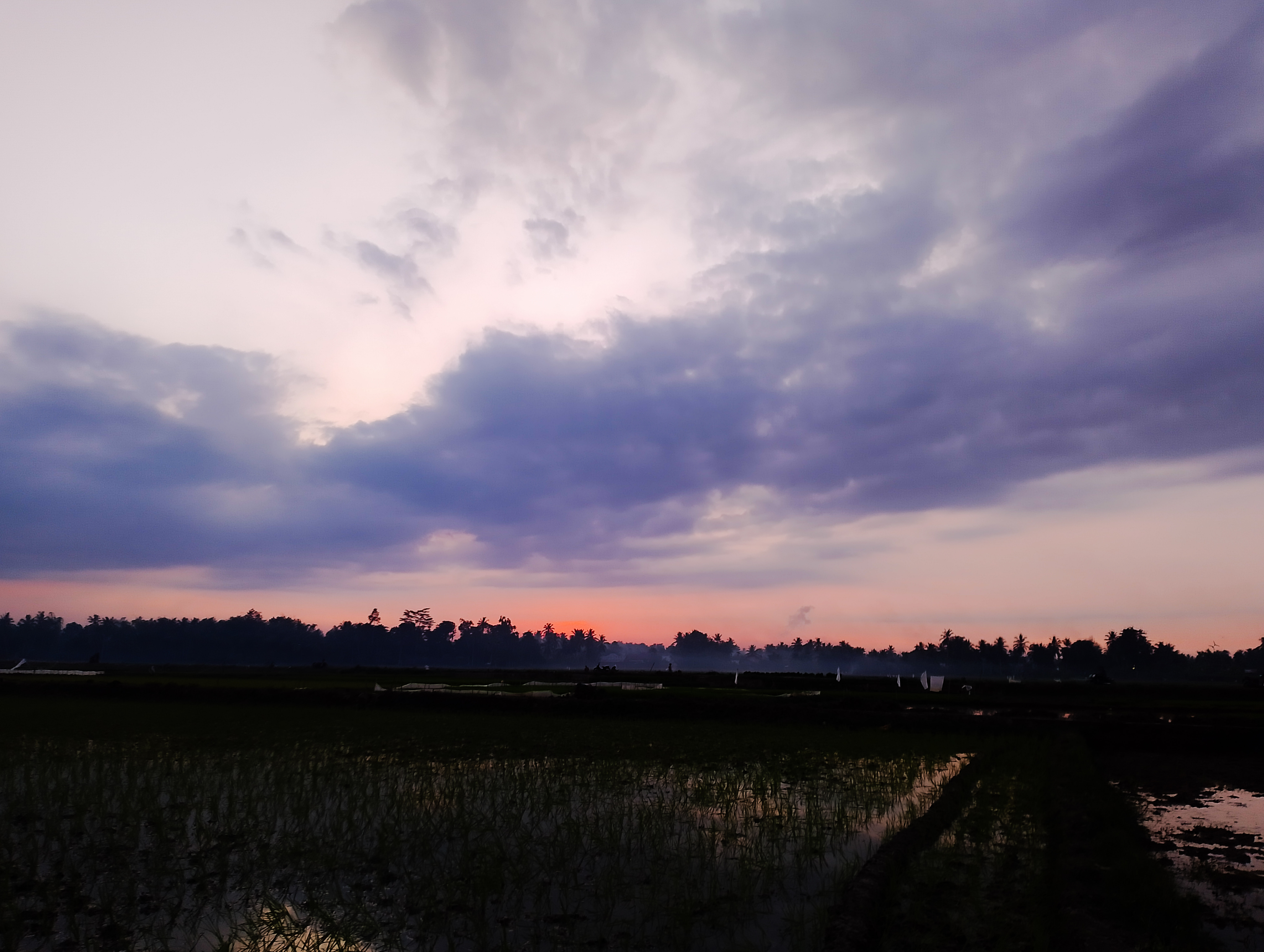 PSX_20250728_192252.jpg